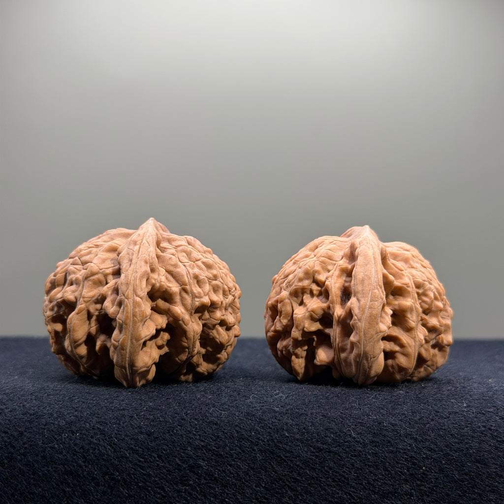 Coiled Dragon Tiger Head Wenwan Walnut · 42mm · Natural · Entry Ritual