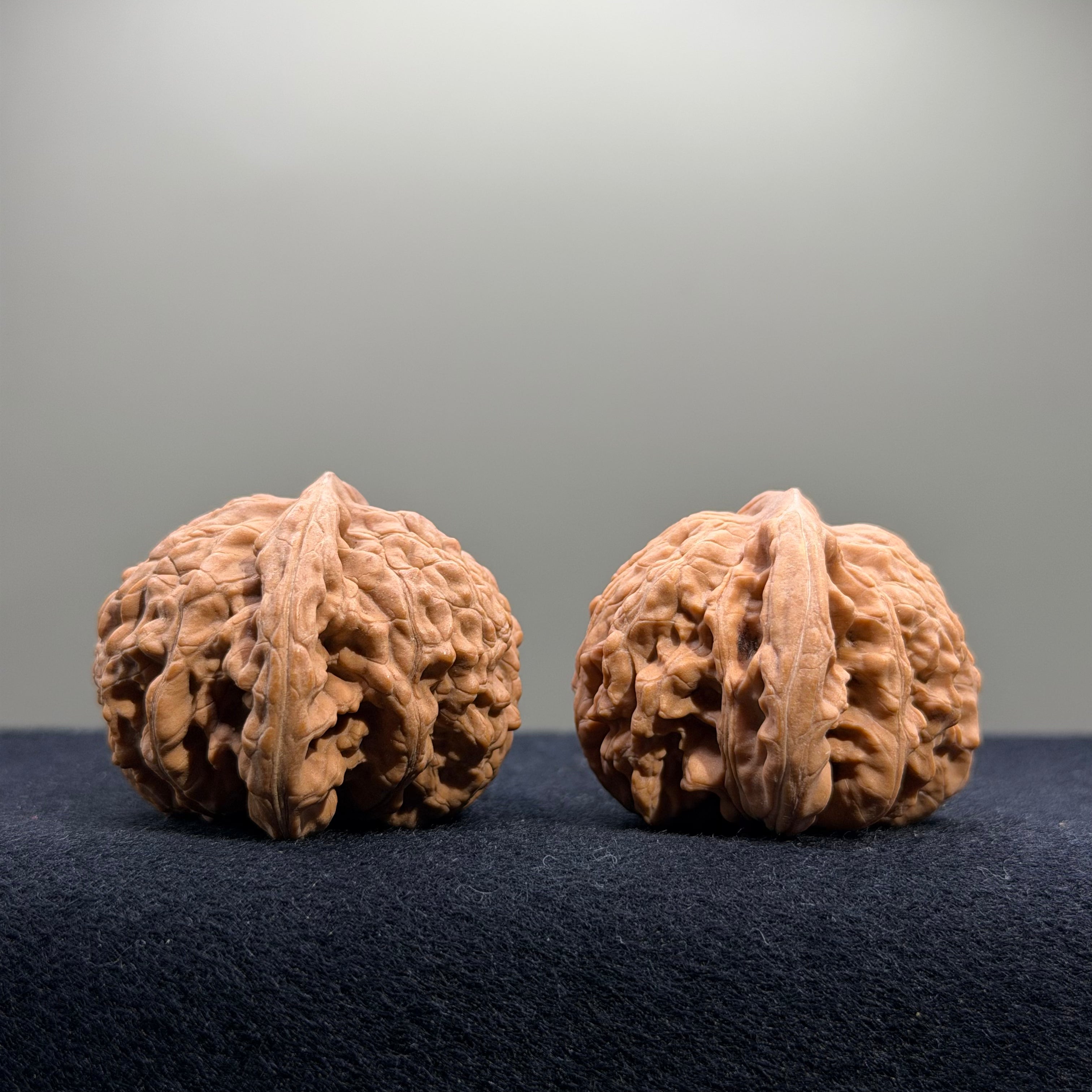 Coiled Dragon Tiger Head Wenwan Walnut · 42mm · Natural · Entry Ritual