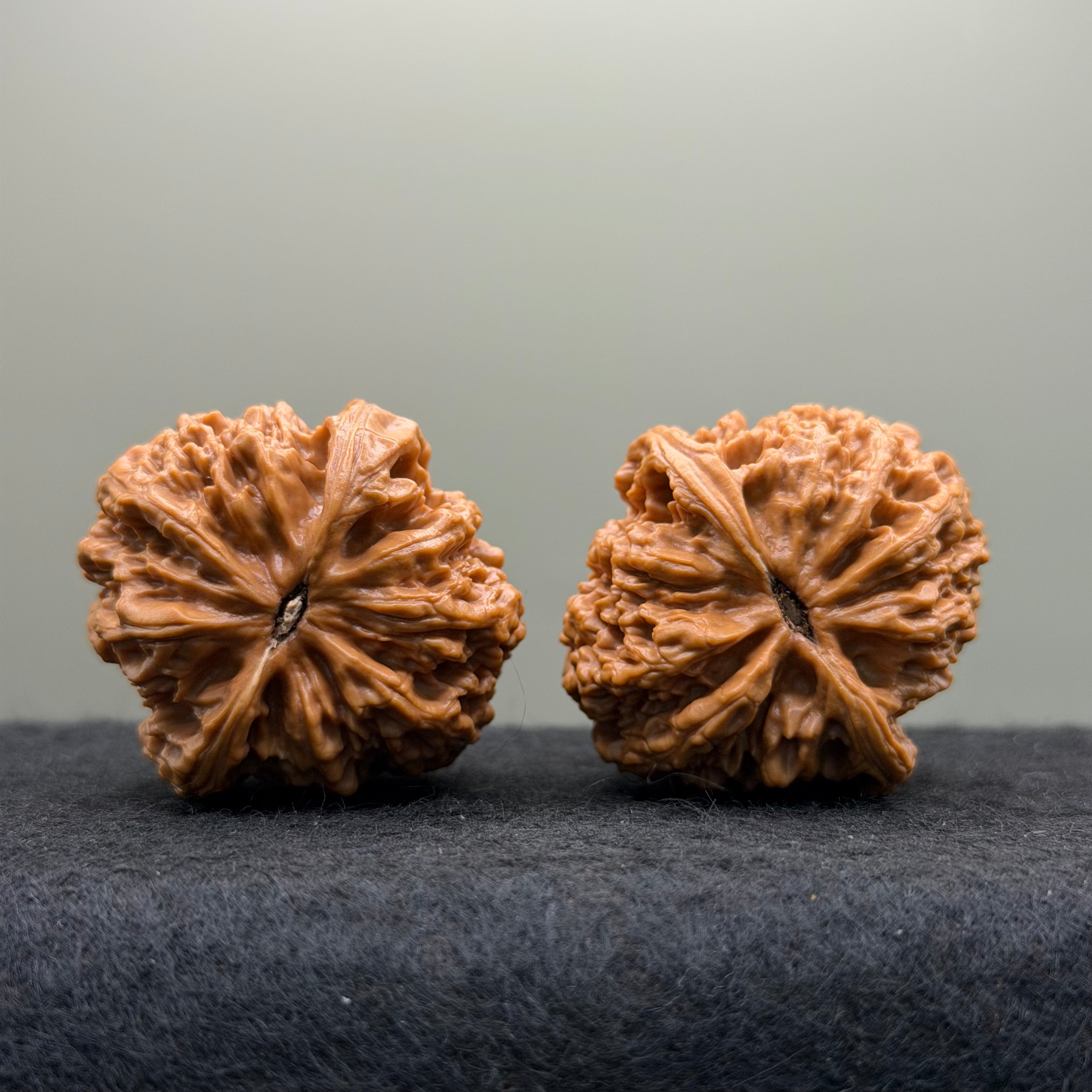 Kirin Pillow Wenwan Walnut