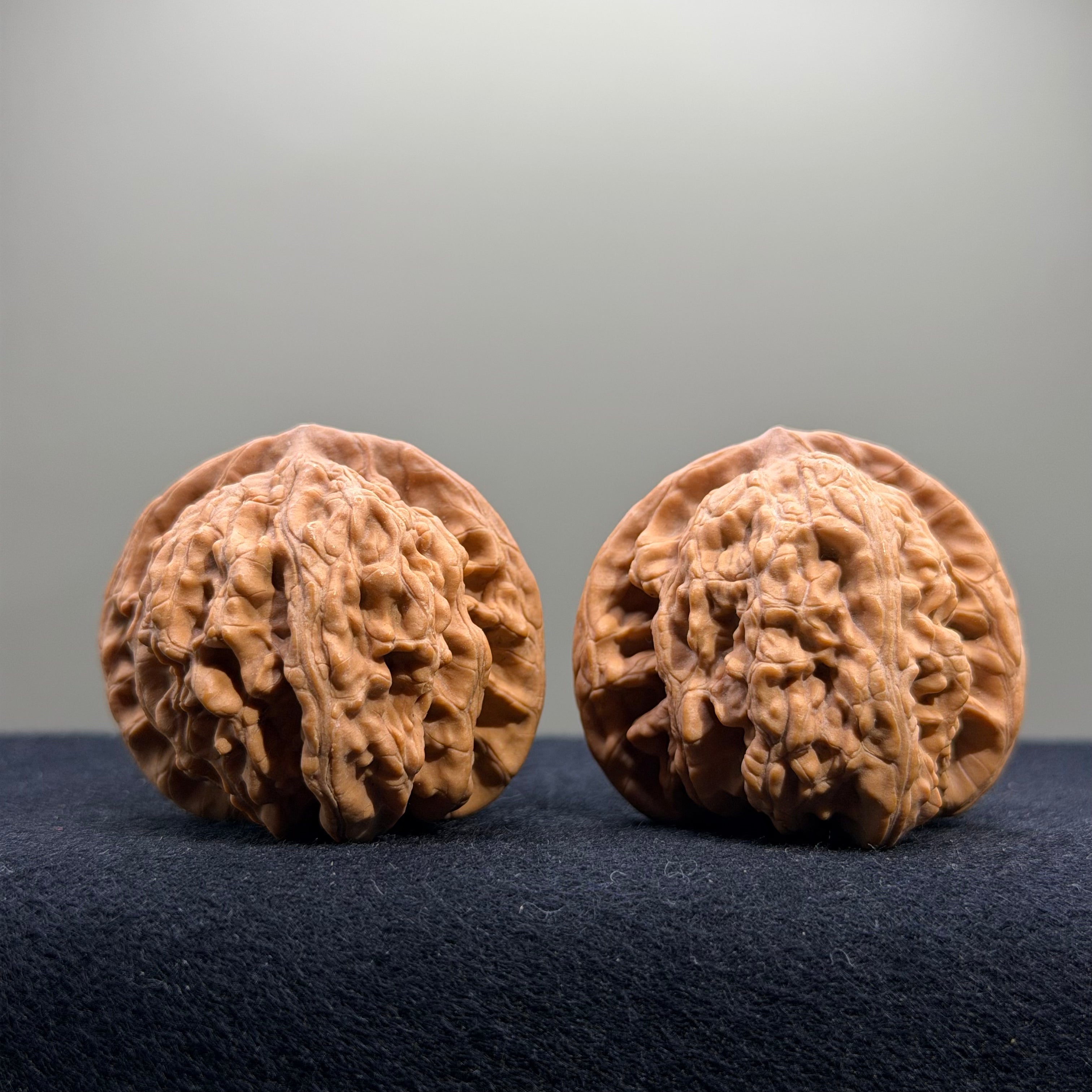Coiled Dragon Tiger Head Wenwan Walnut · 40mm · Natural · Entry Ritual