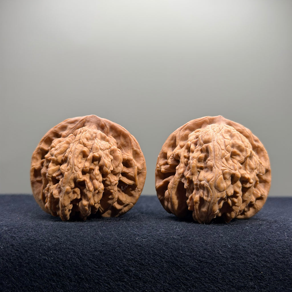 Coiled Dragon Tiger Head Wenwan Walnut · 40mm · Natural · Entry Ritual
