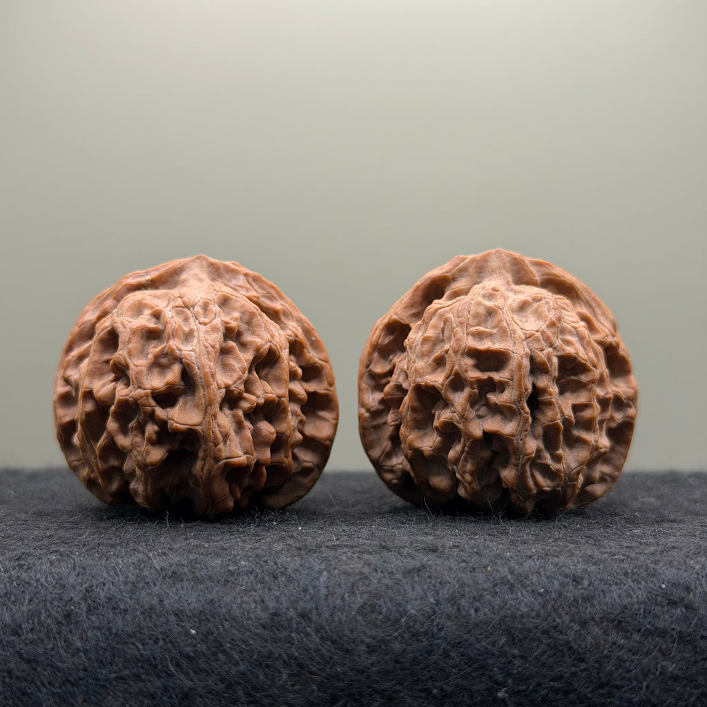 Apple Orchard Wenwan Walnut