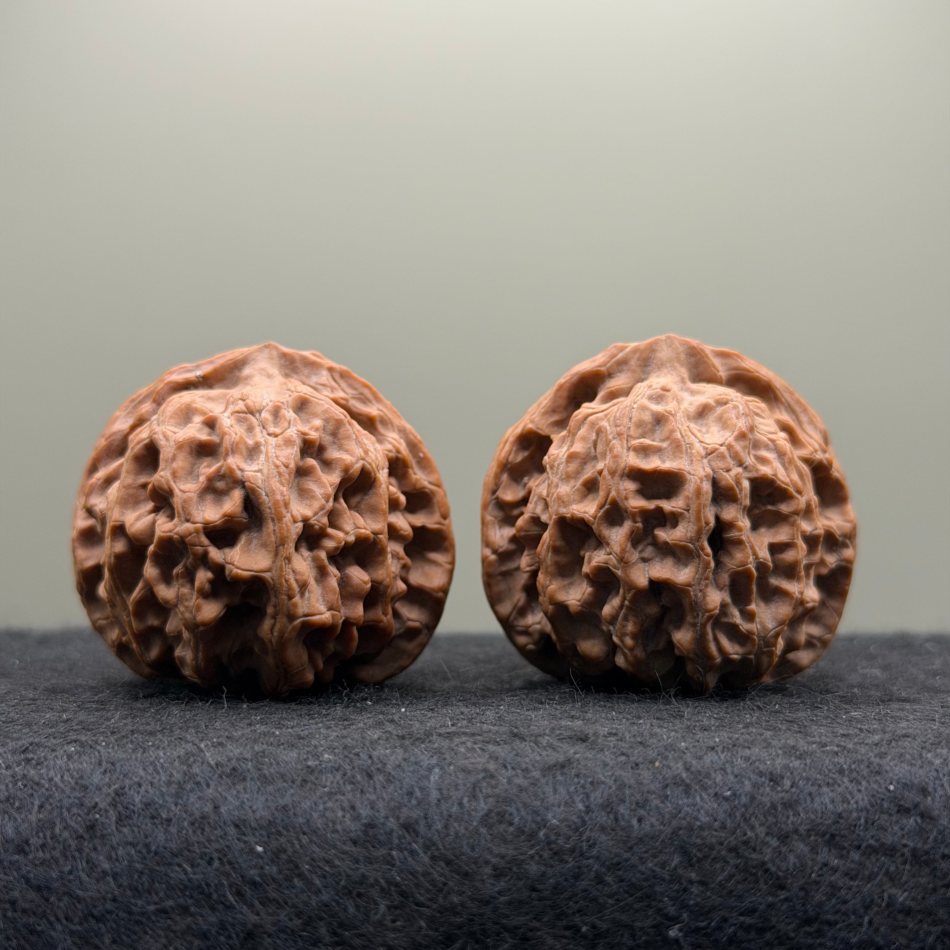 Apple Orchard Lion Head Wenwan Walnut