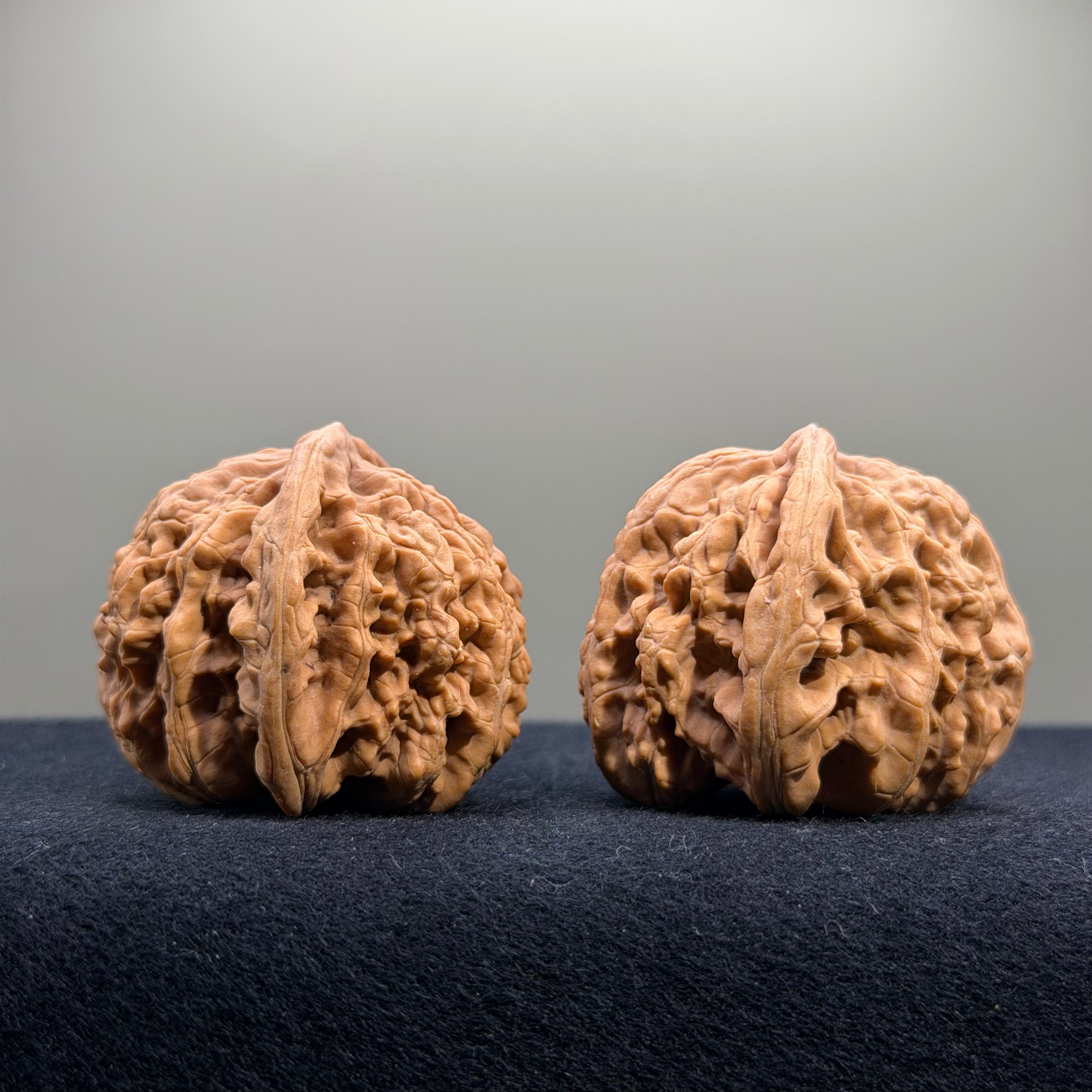 Coiled Dragon Tiger Head Wenwan Walnut · 40mm · Natural · Entry Ritual