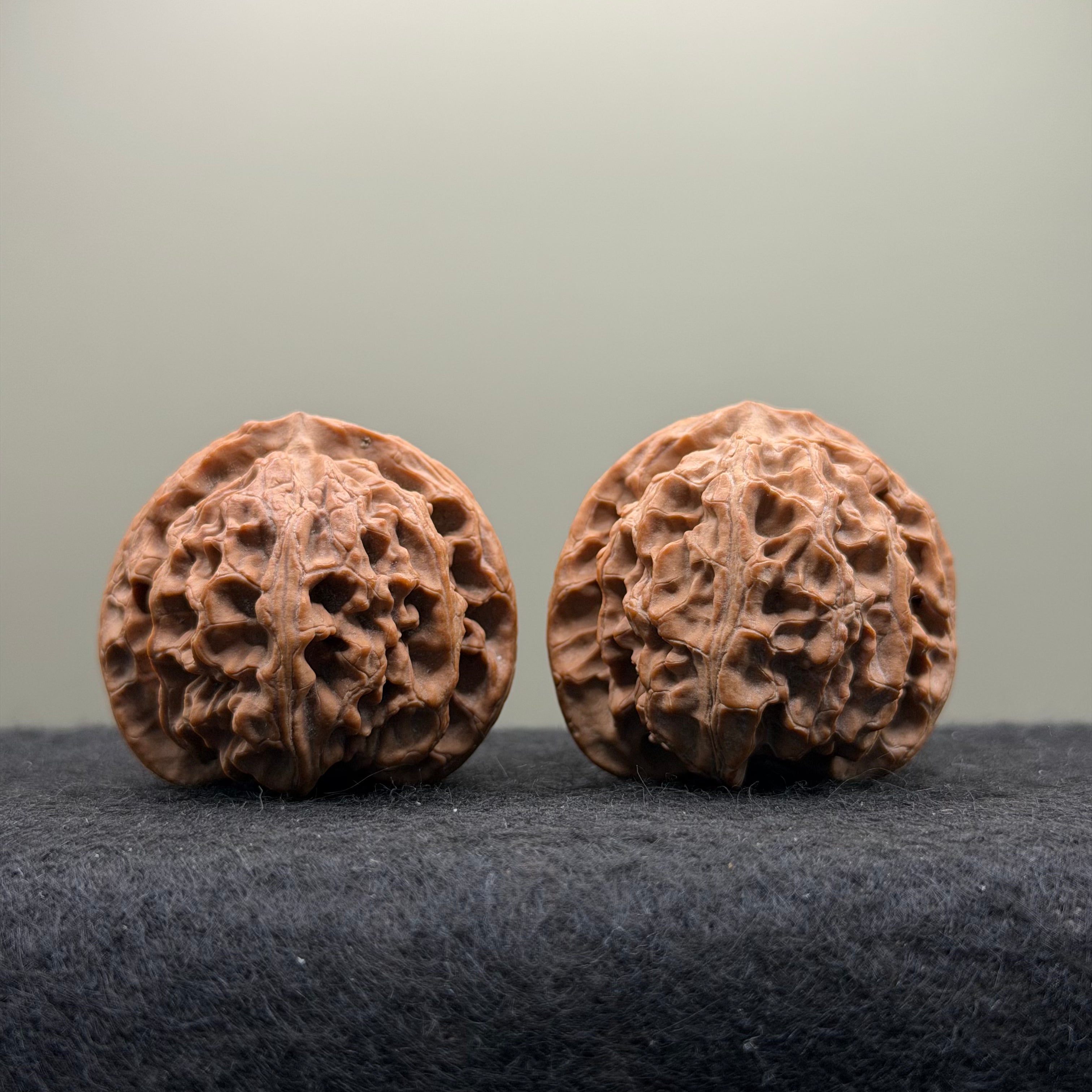 Apple Orchard Lion Head Wenwan Walnut
