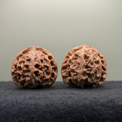 Apple Orchard Wenwan Walnut