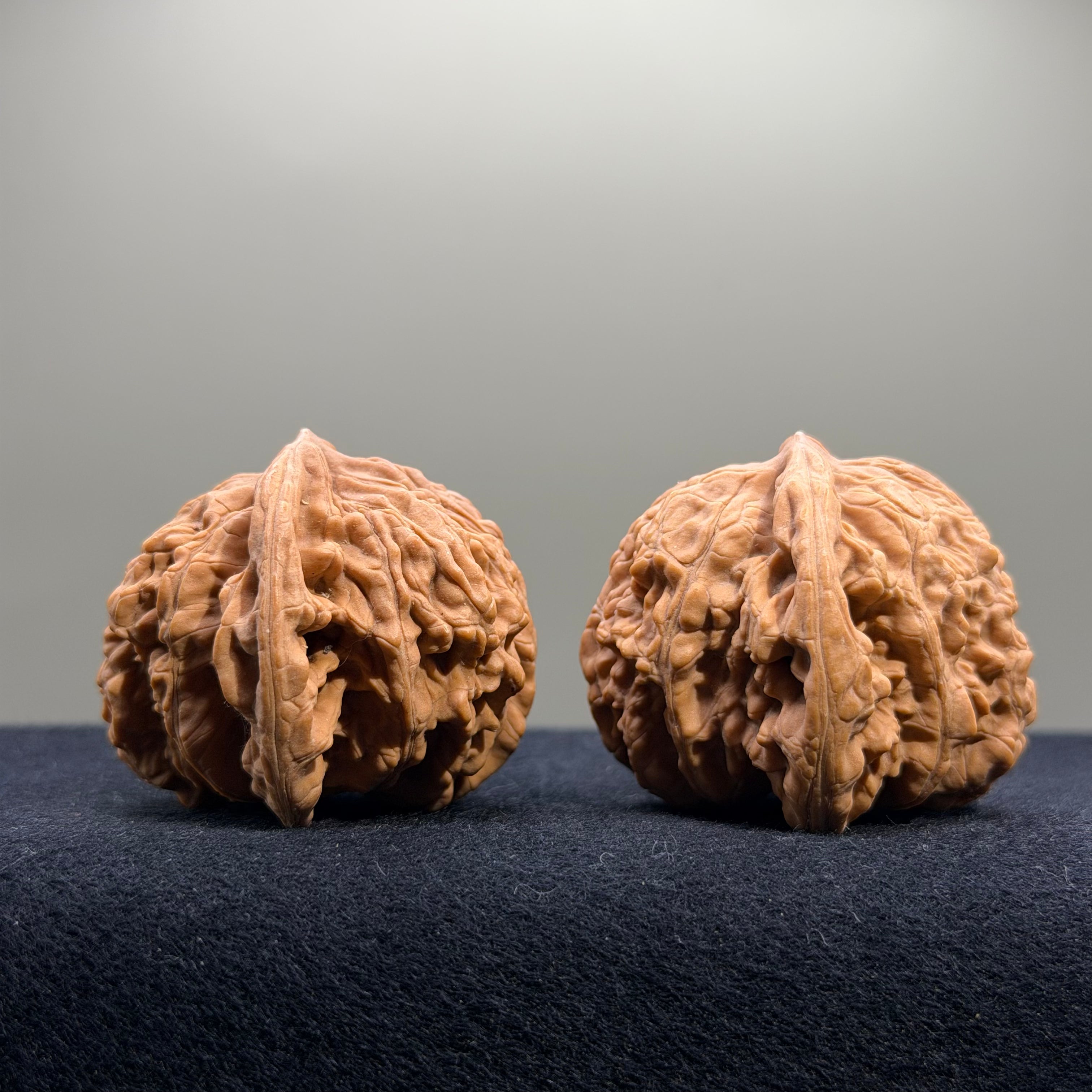 Coiled Dragon Tiger Head Wenwan Walnut · 40mm · Natural · Entry Ritual