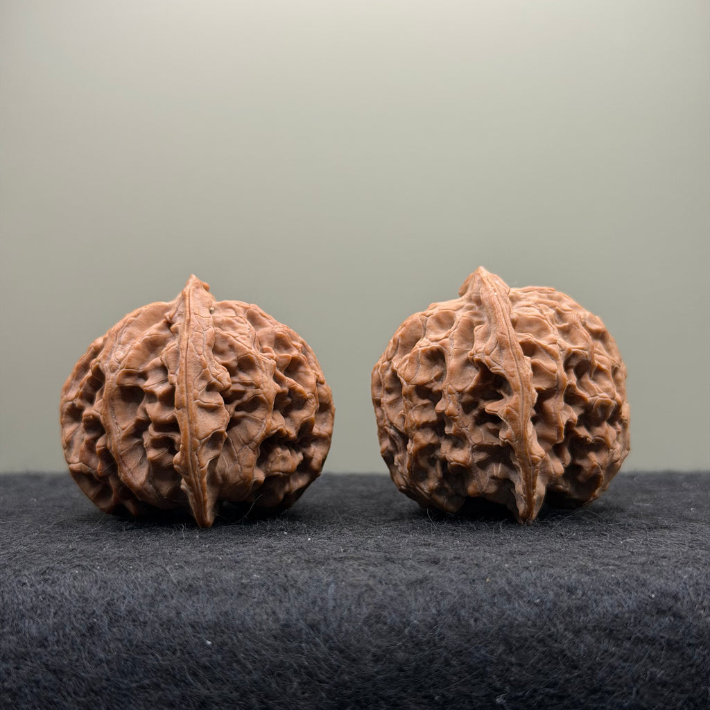 Apple Orchard Wenwan Walnut