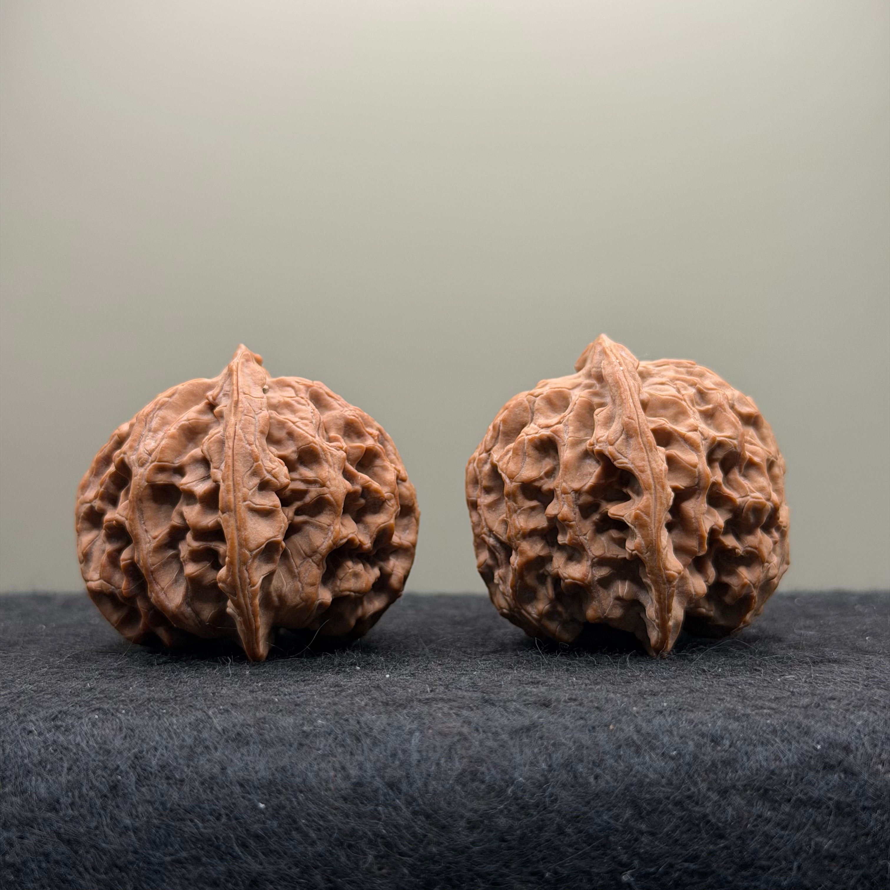 Apple Orchard Lion Head Wenwan Walnut