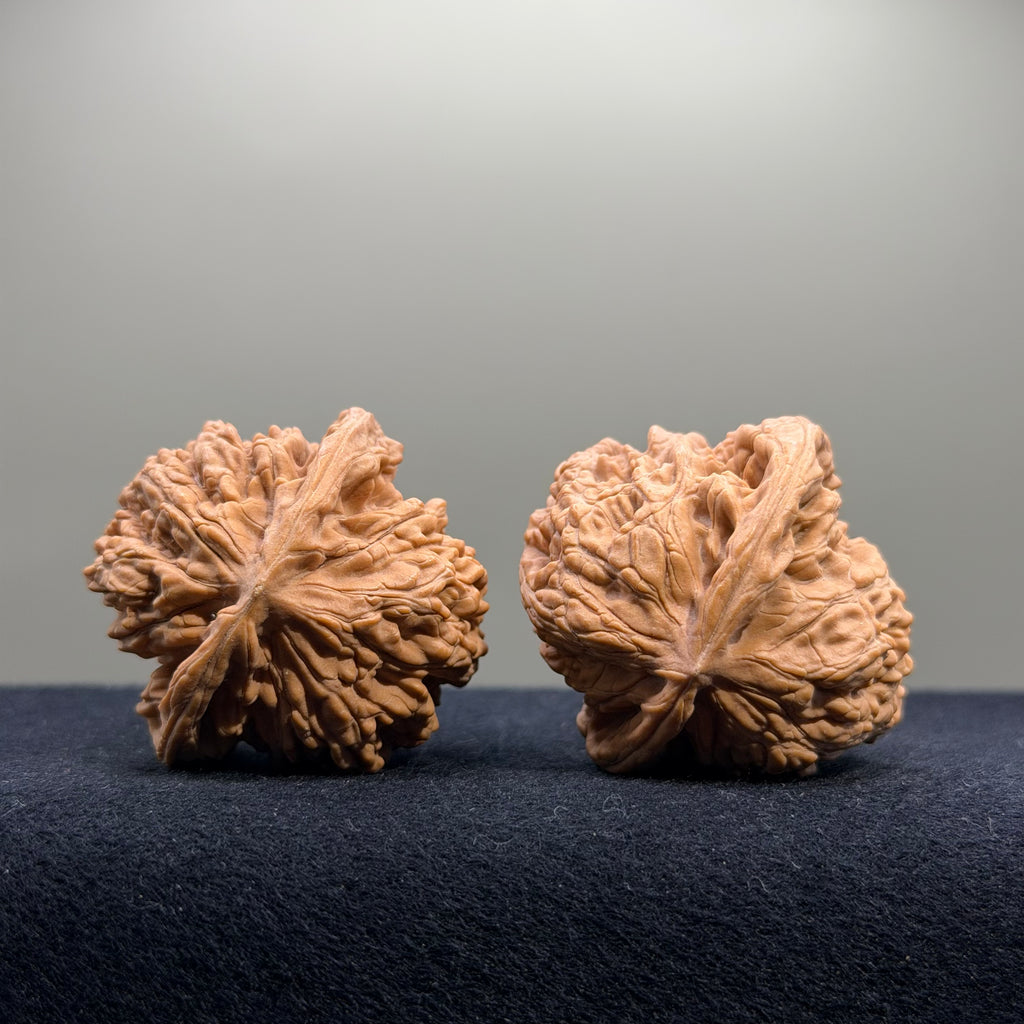 Coiled Dragon Tiger Head Wenwan Walnut · 40mm · Natural · Entry Ritual