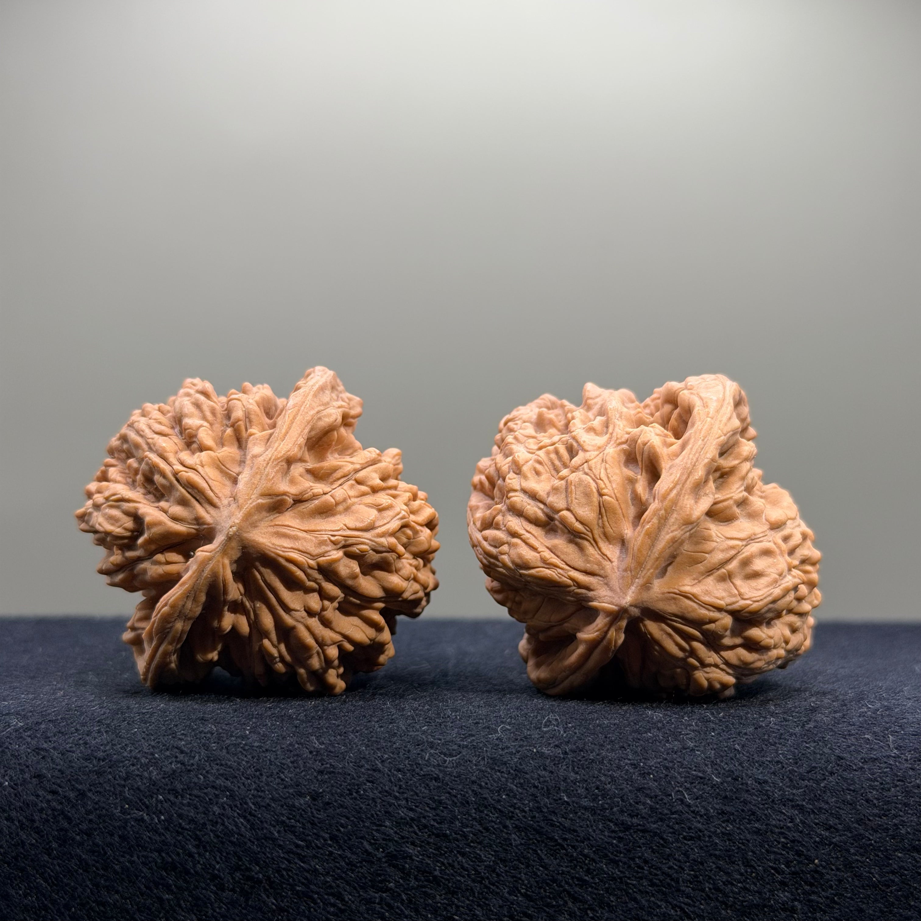 Coiled Dragon Tiger Head Wenwan Walnut · 40mm · Natural · Entry Ritual