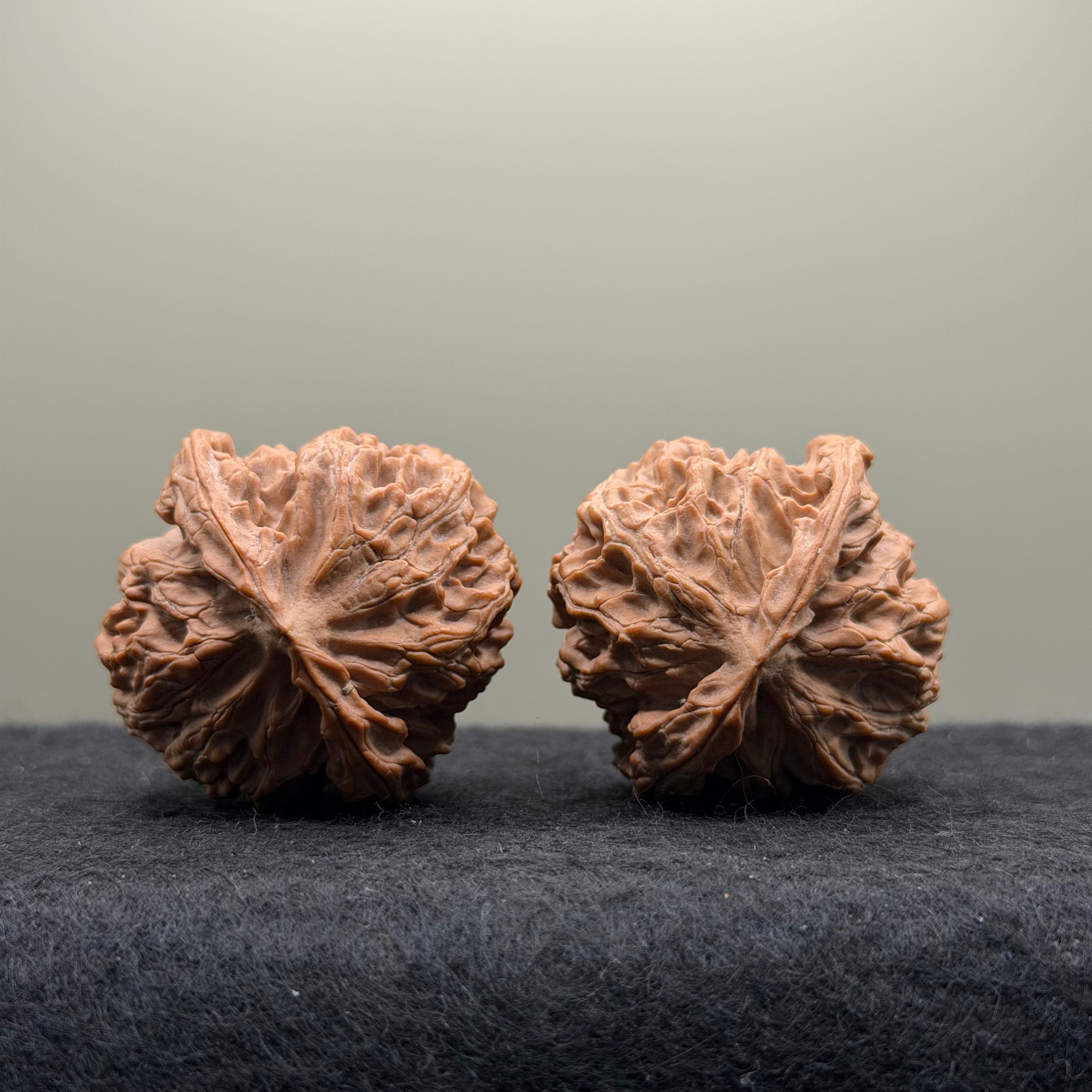 Apple Orchard Lion Head Wenwan Walnut
