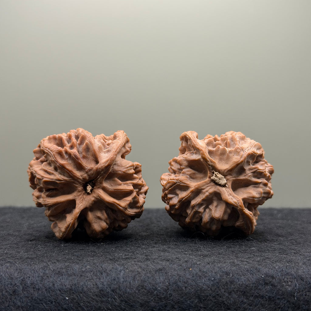 Apple Orchard Wenwan Walnut
