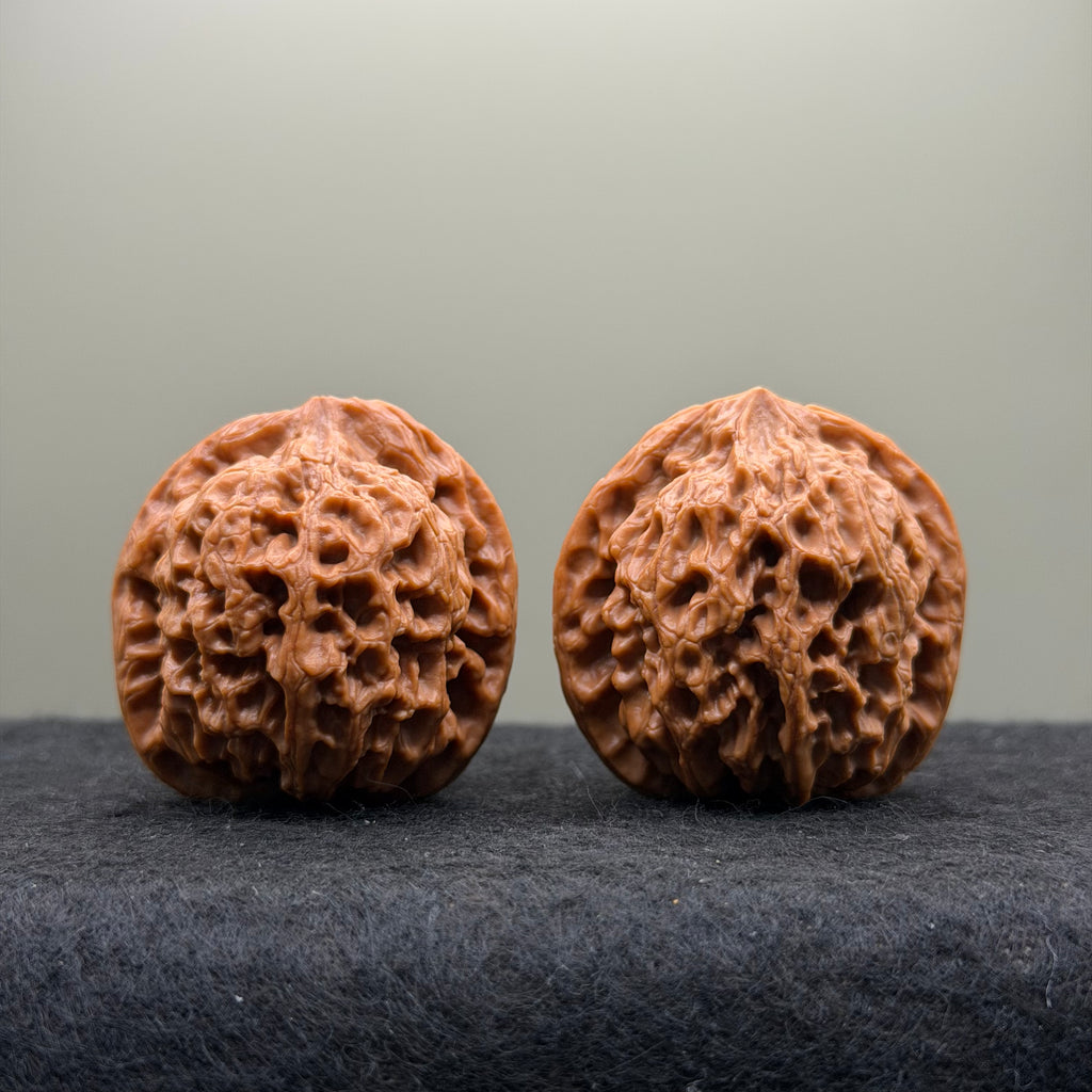 Snow Lion Head Wenwan Walnut