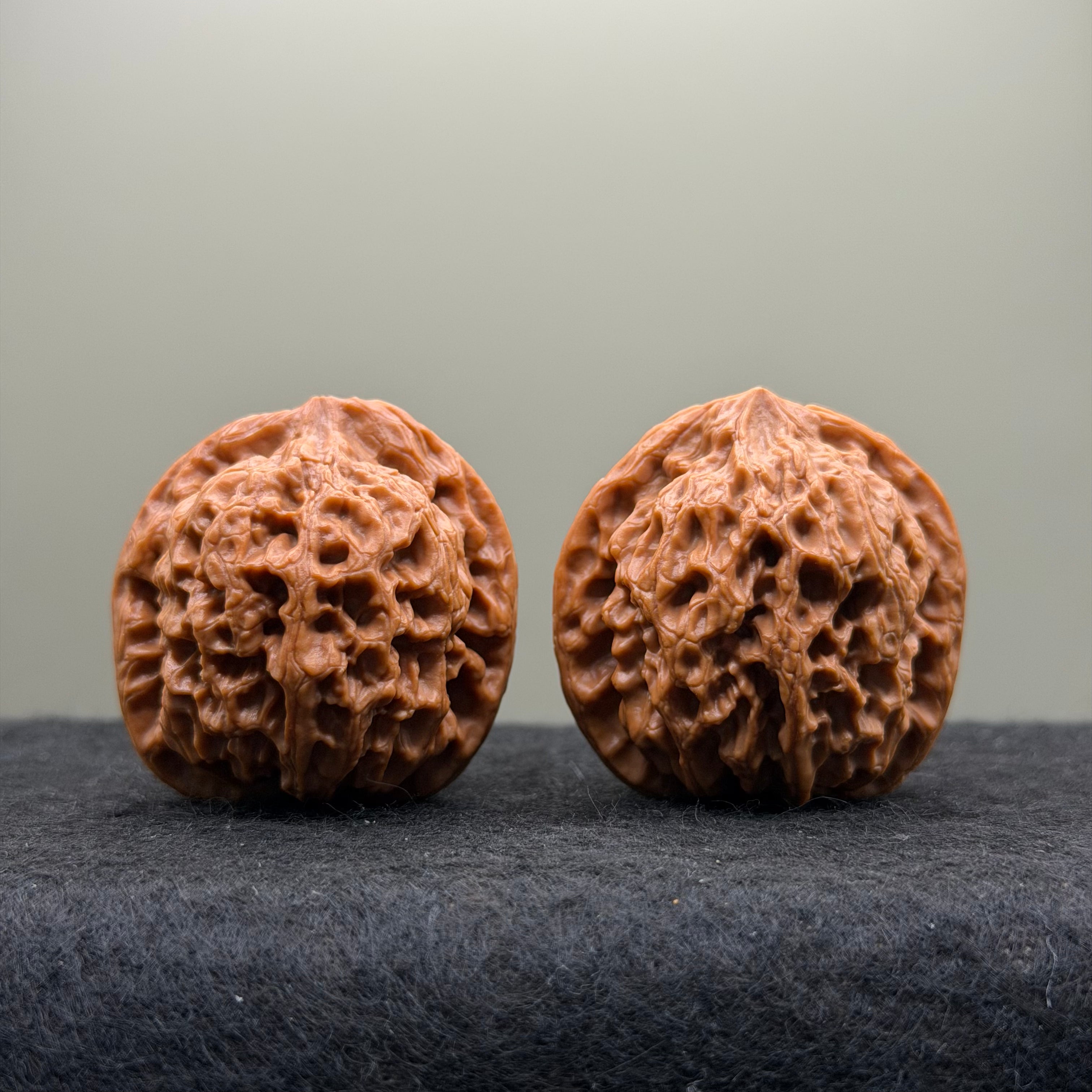 Snow Lion Head Wenwan Walnut