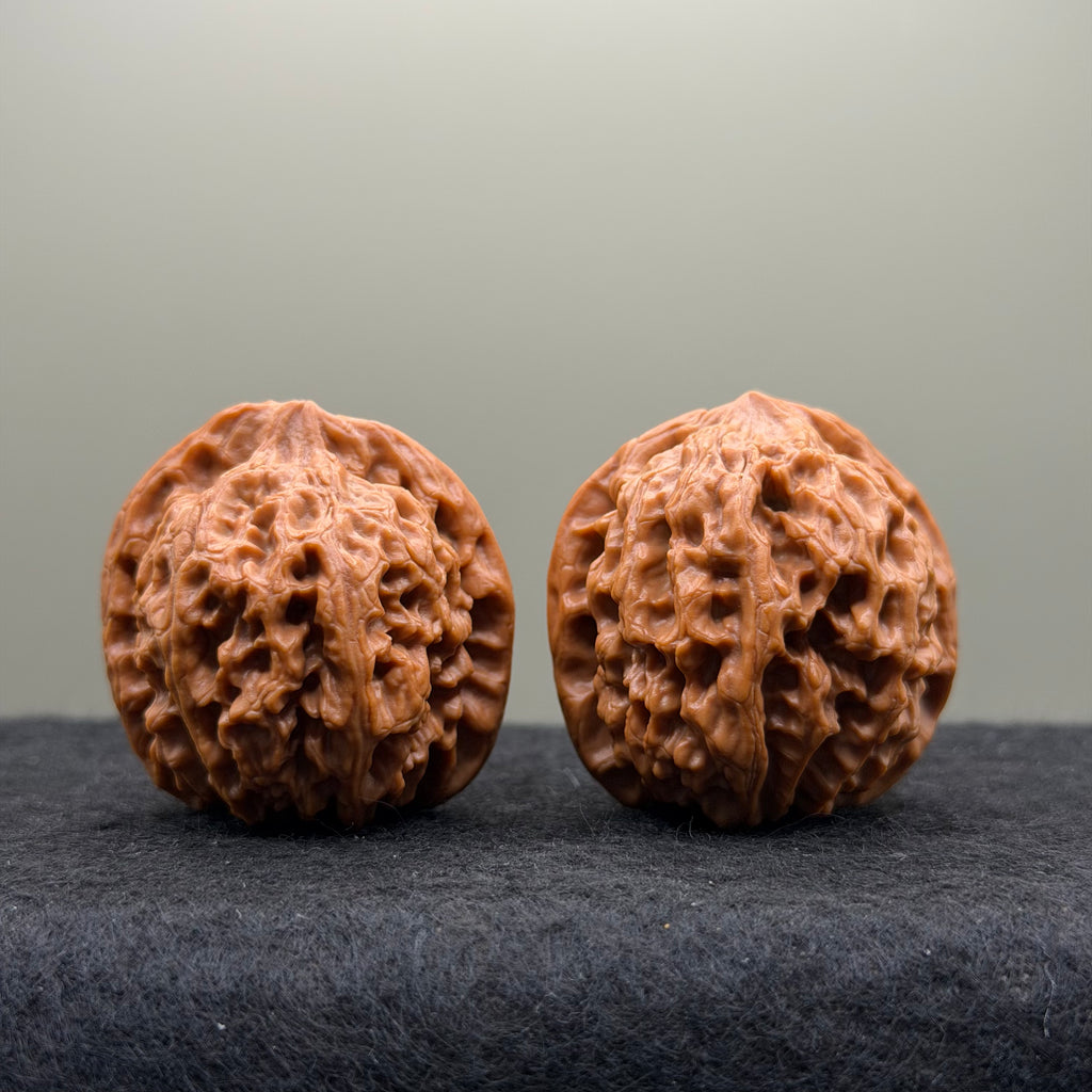 Snow Lion Head Wenwan Walnut