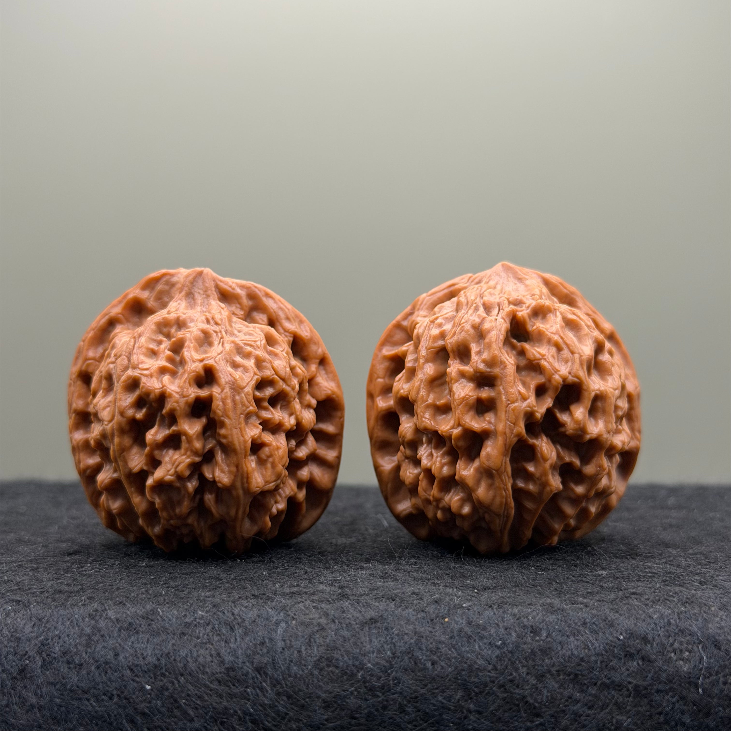 Snow Lion Head Wenwan Walnut