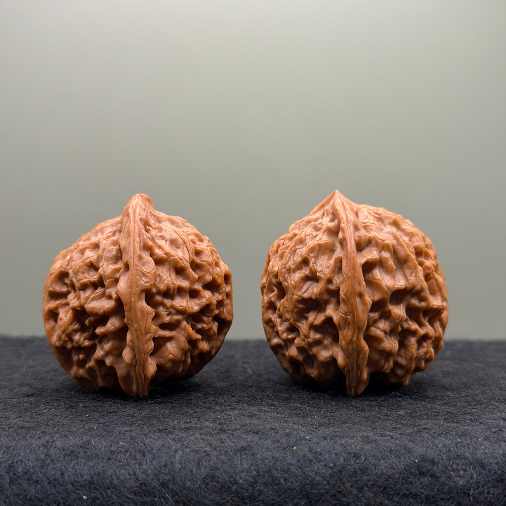 Snow Lion Head Wenwan Walnut