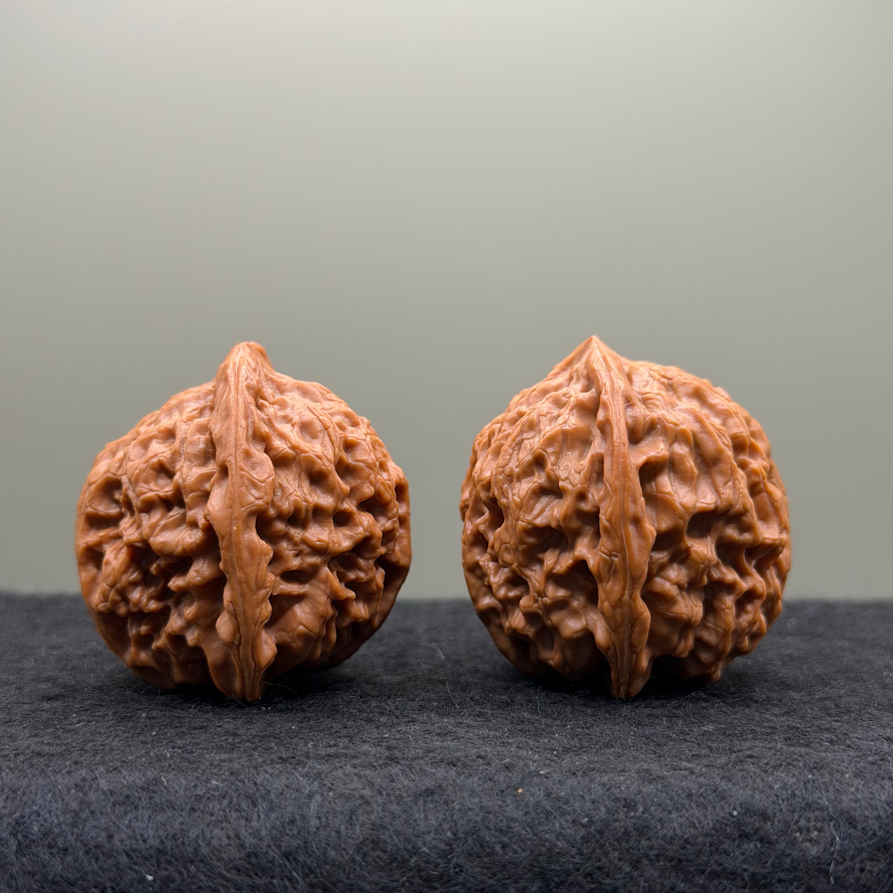 Snow Lion Head Wenwan Walnut