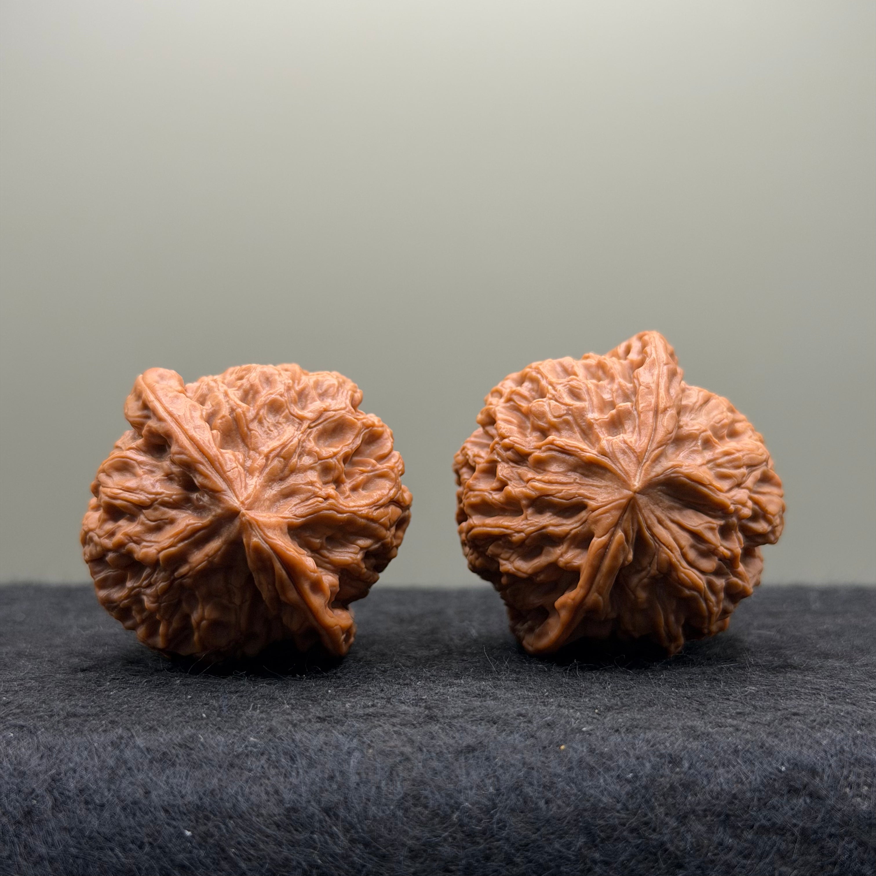 Snow Lion Head Wenwan Walnut