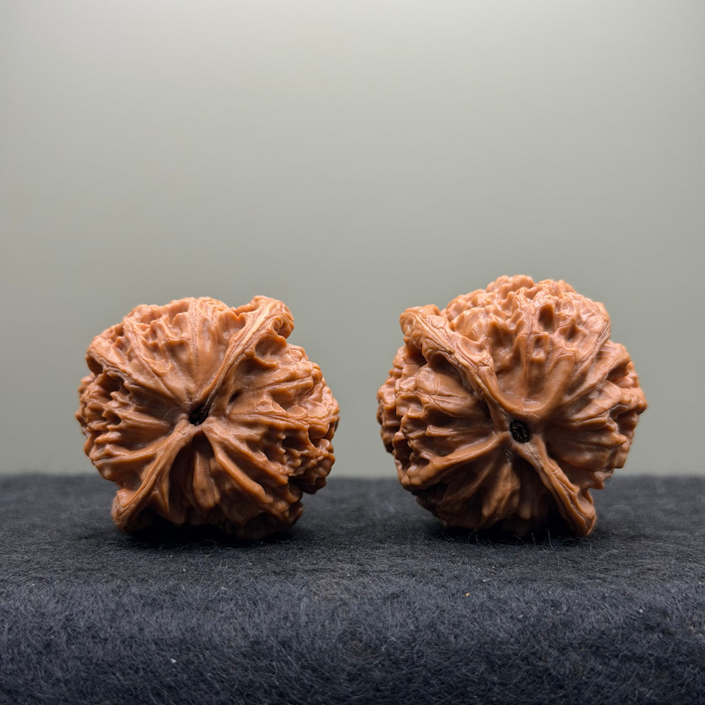 Snow Lion Head Wenwan Walnut