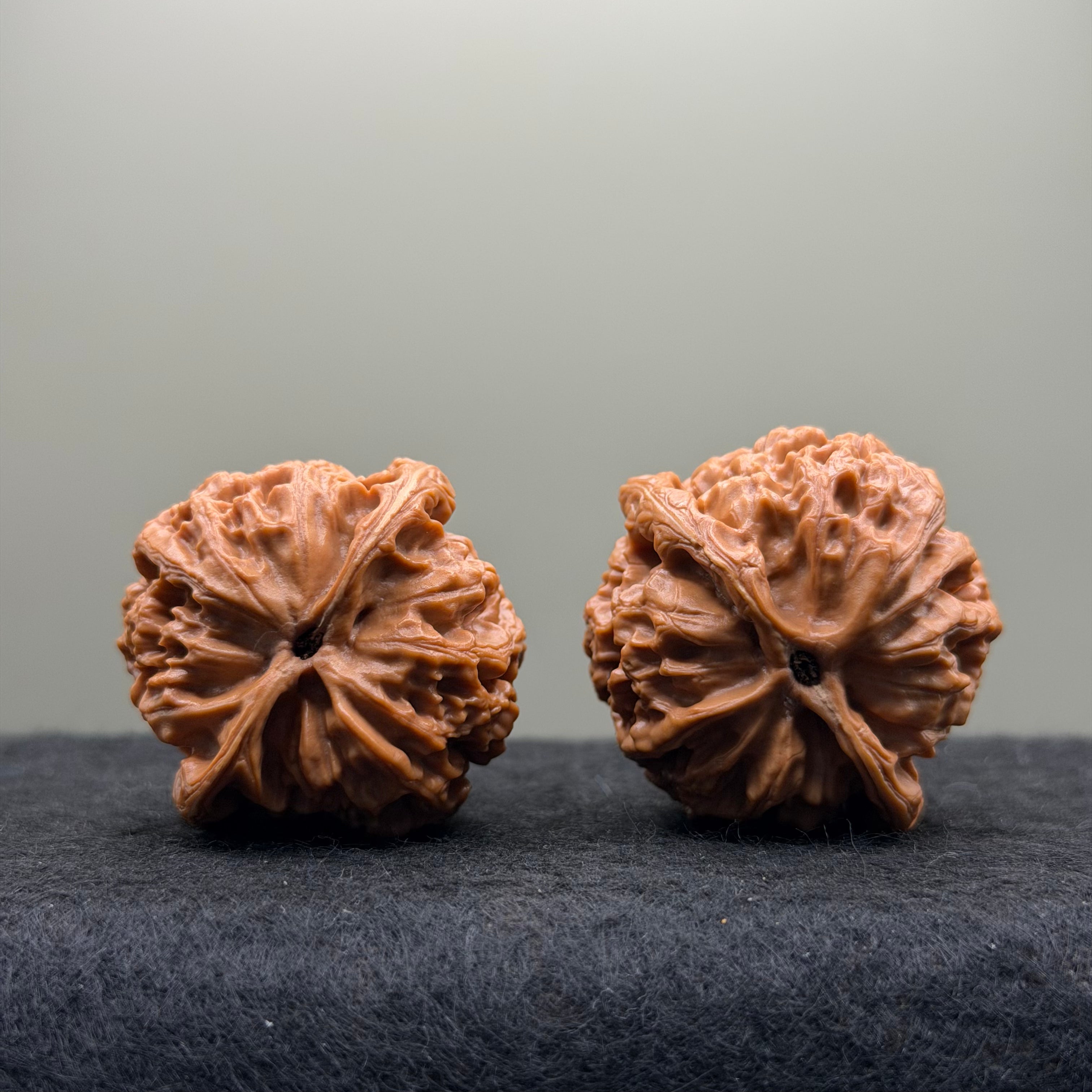 Snow Lion Head Wenwan Walnut
