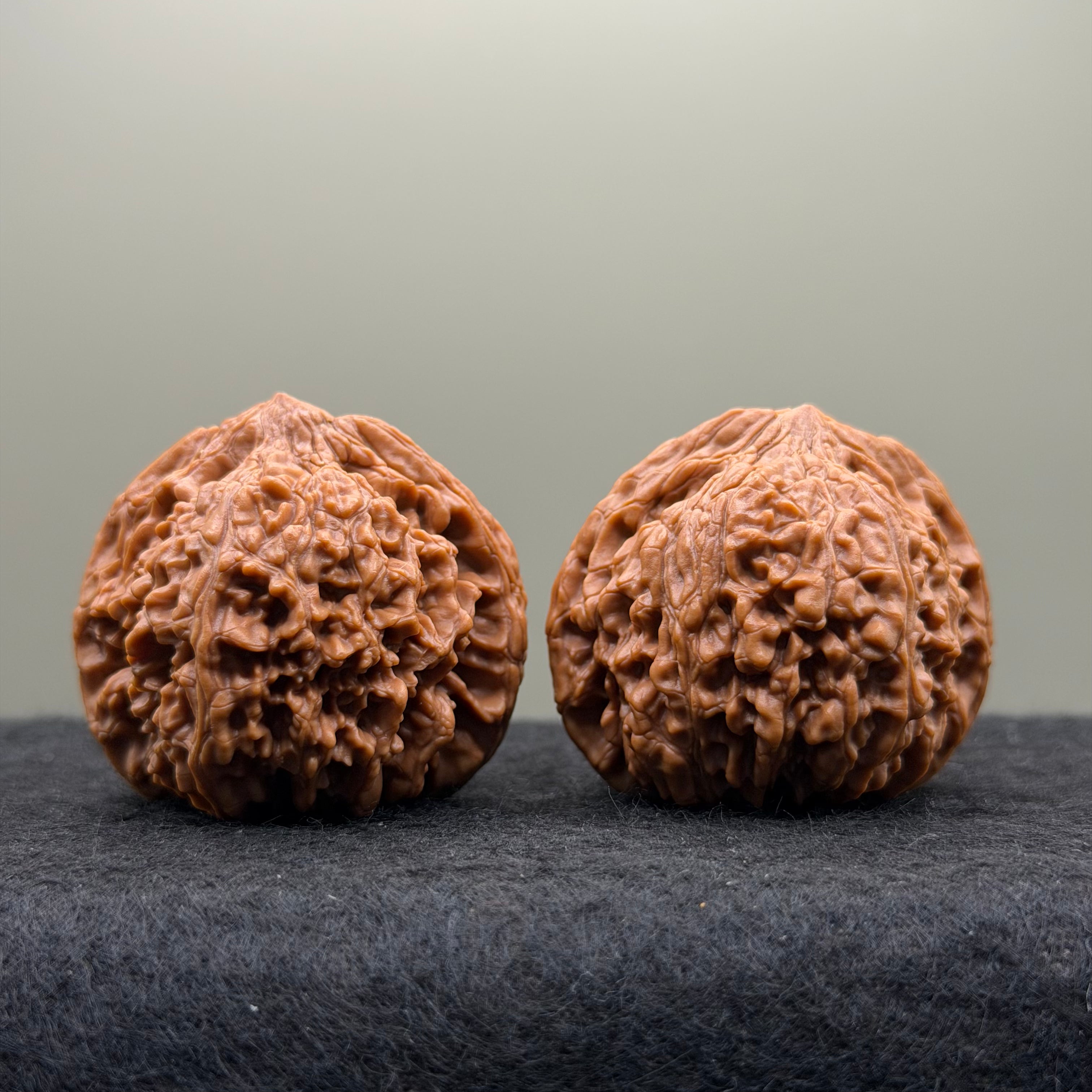 Starry Sky Lion Head Wenwan Walnut