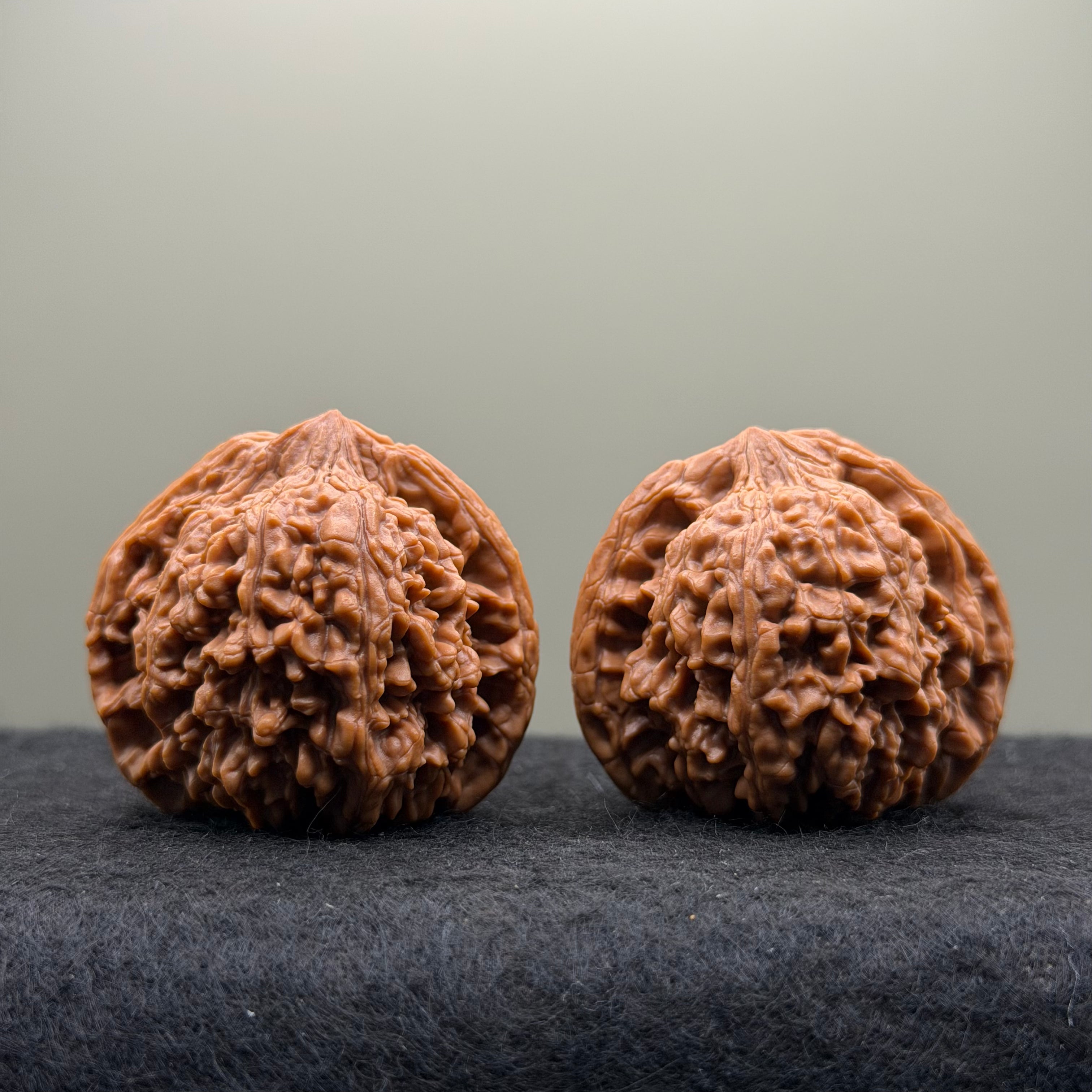 Starry Sky Lion Head Wenwan Walnut