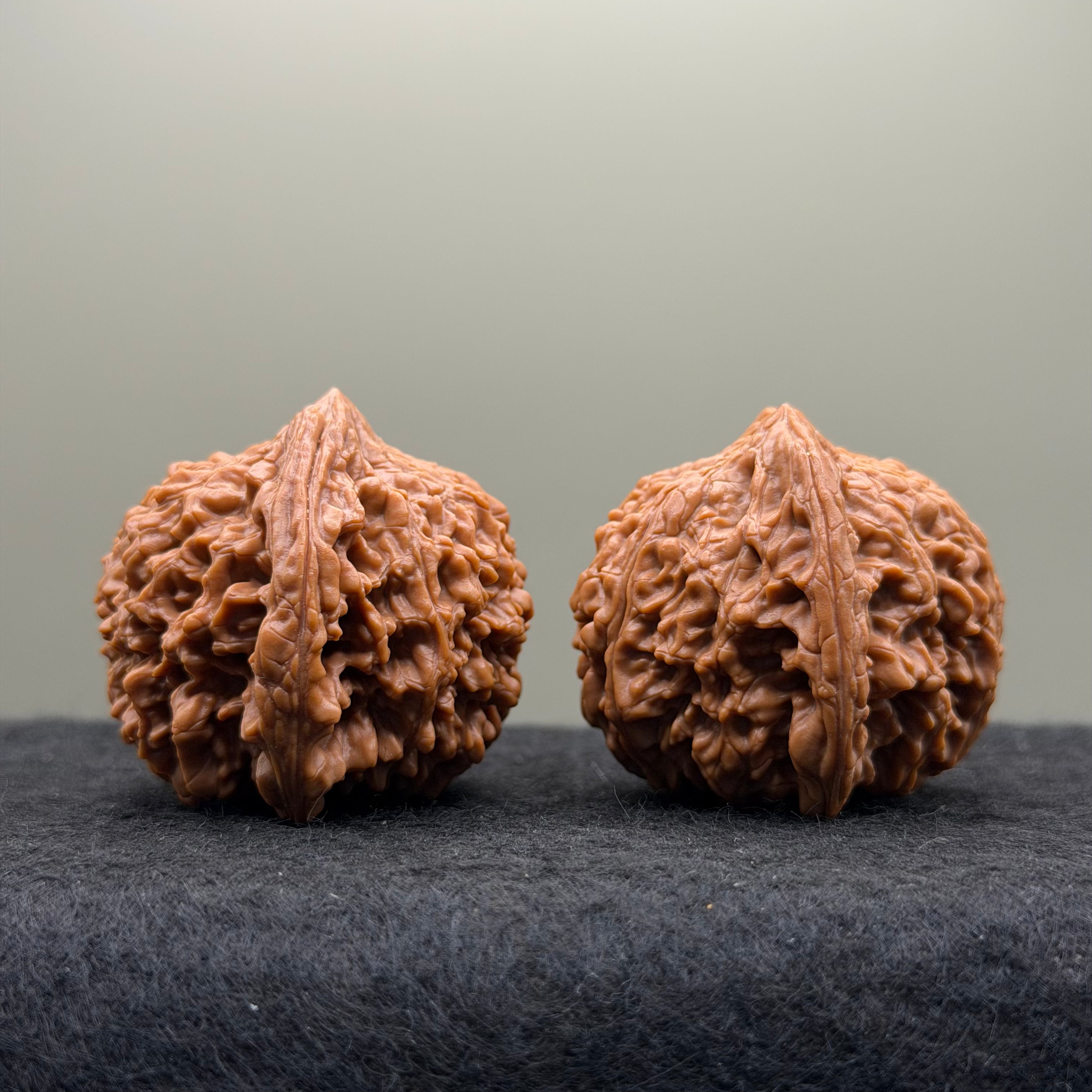 Starry Sky Lion Head Wenwan Walnut