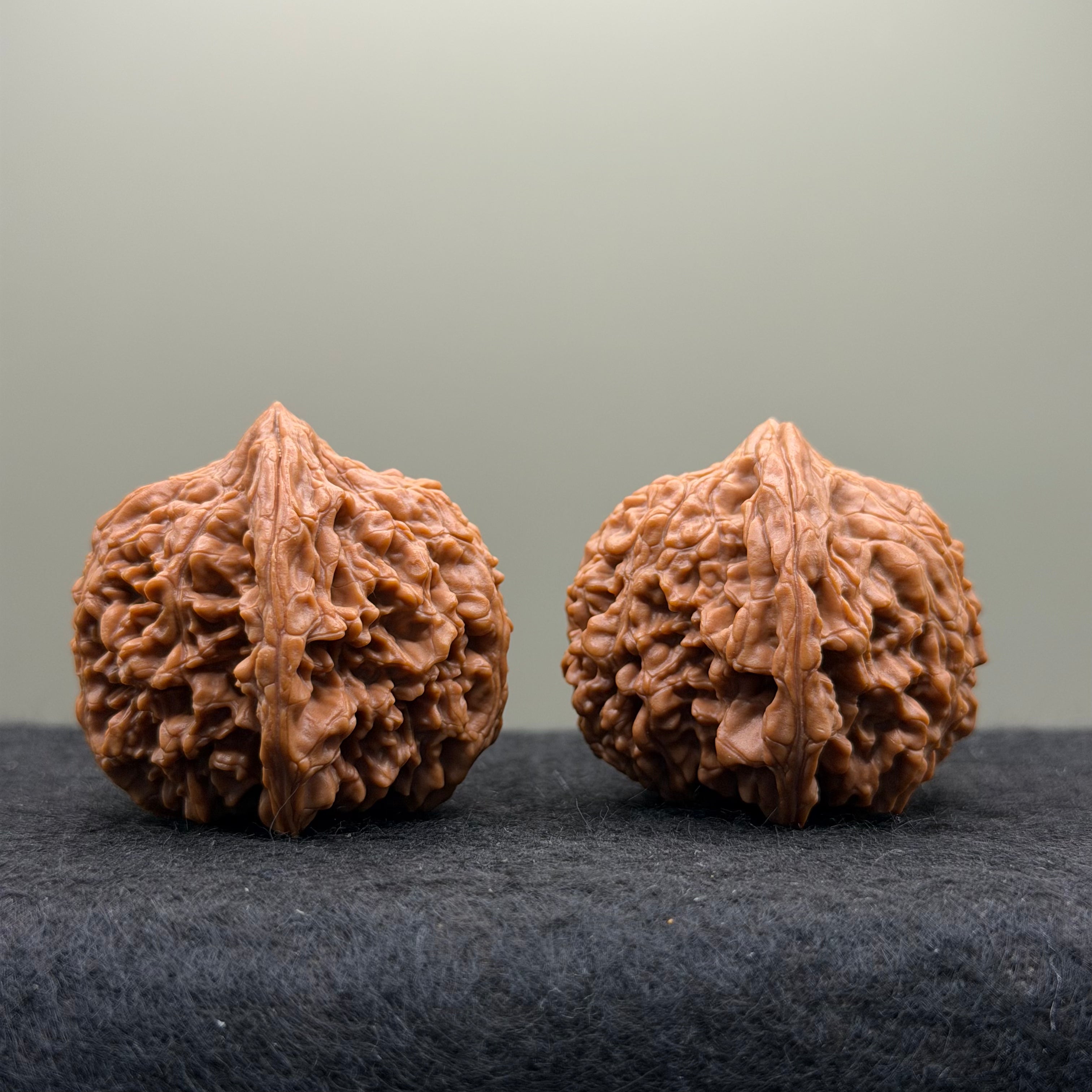 Starry Sky Lion Head Wenwan Walnut