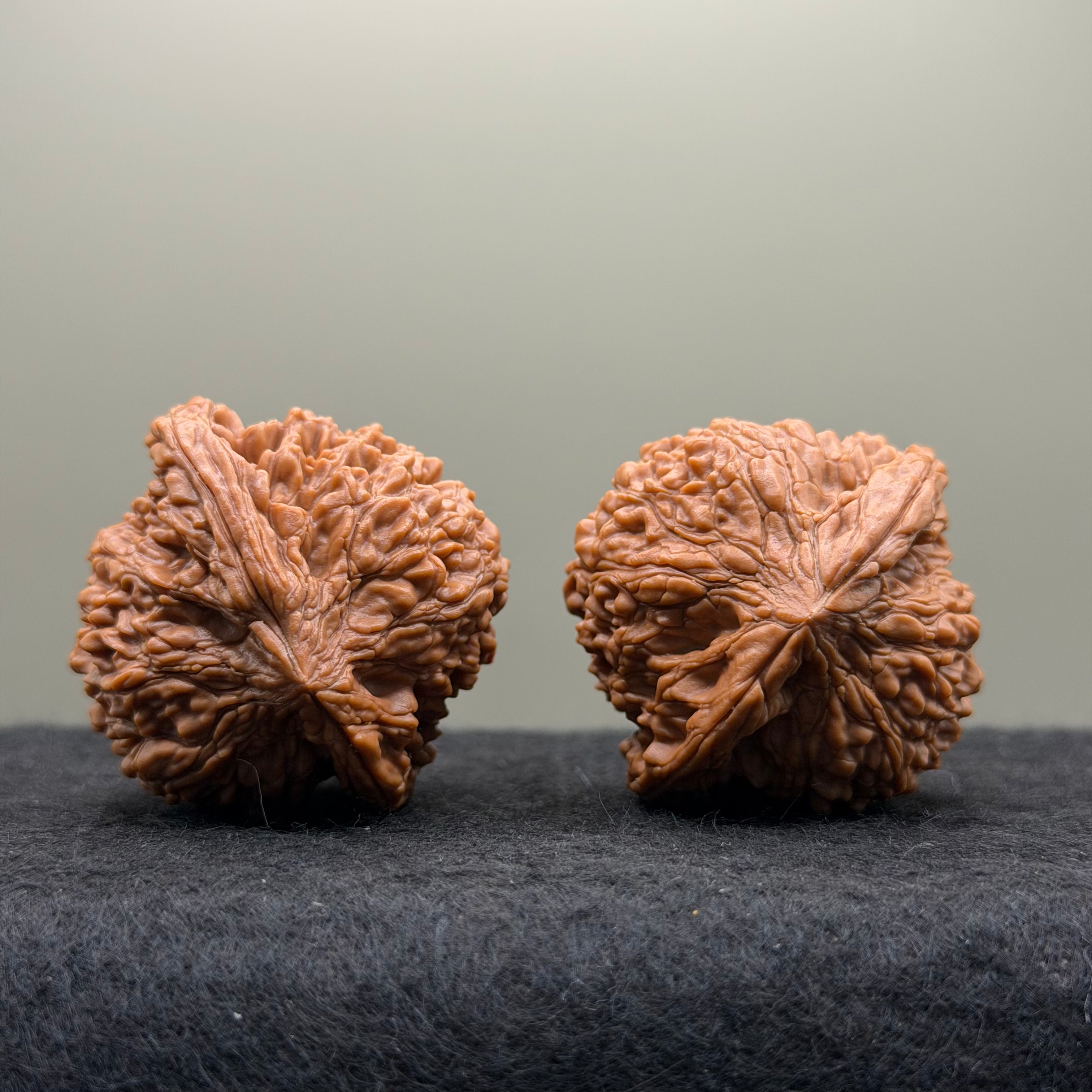 Starry Sky Lion Head Wenwan Walnut