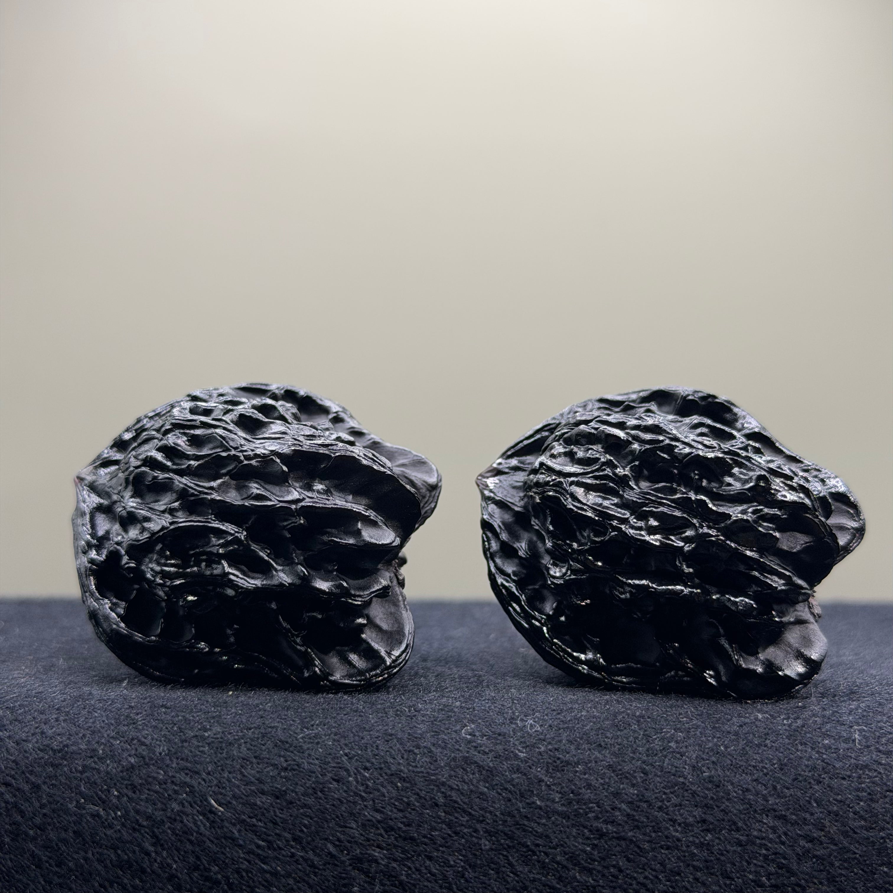 Bird Ground Buried Wenwan Walnut · 37mm · Select Ritual