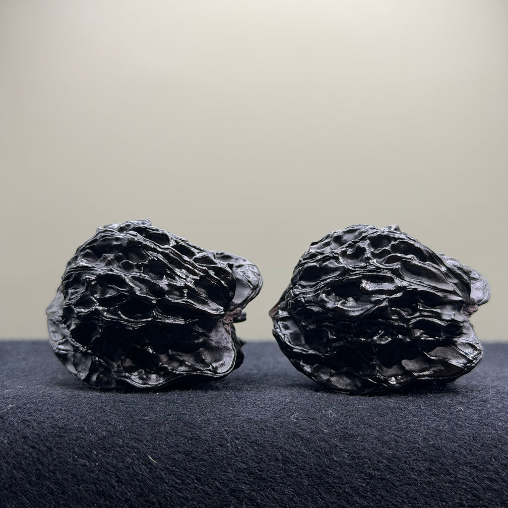 Bird Ground Buried Wenwan Walnut · 37mm · Select Ritual