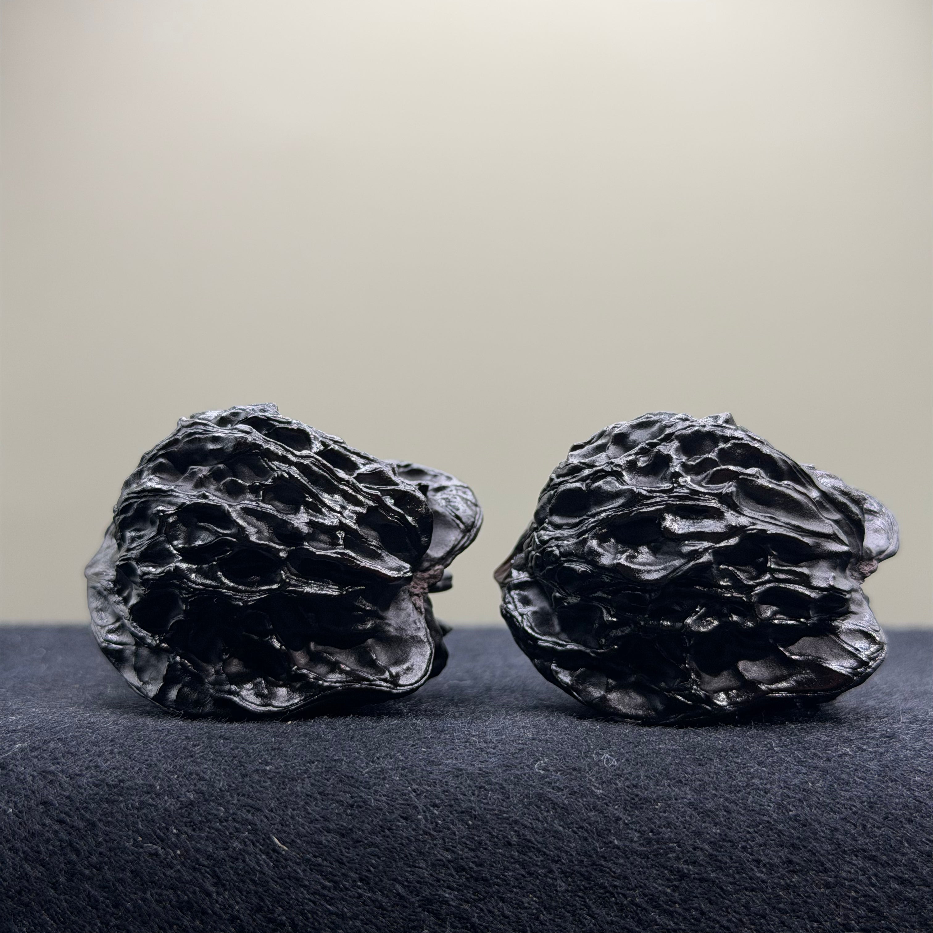 Bird Ground Buried Wenwan Walnut · 37mm · Select Ritual