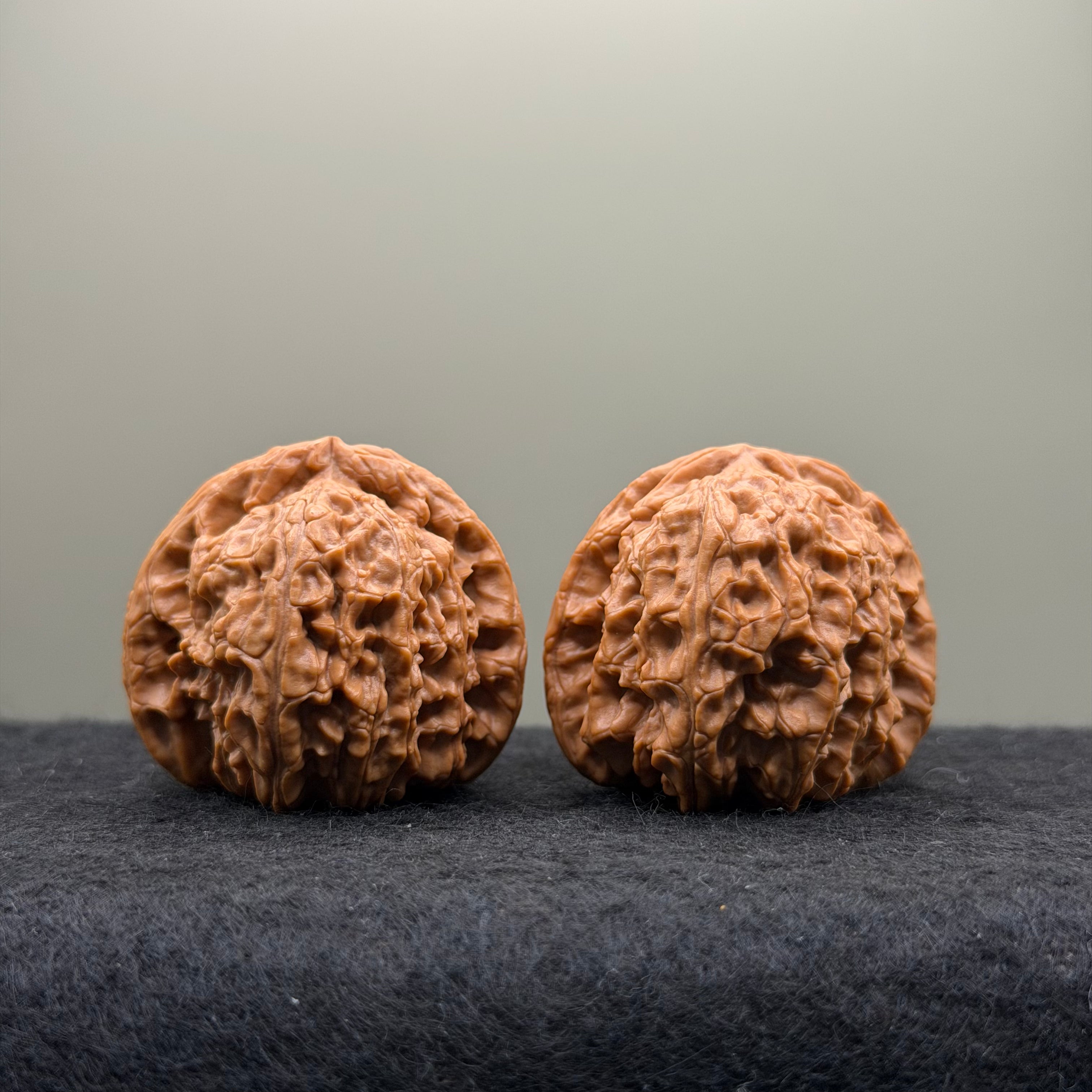 White Lion Head Wenwan Walnut