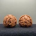White Lion Head Wenwan Walnut