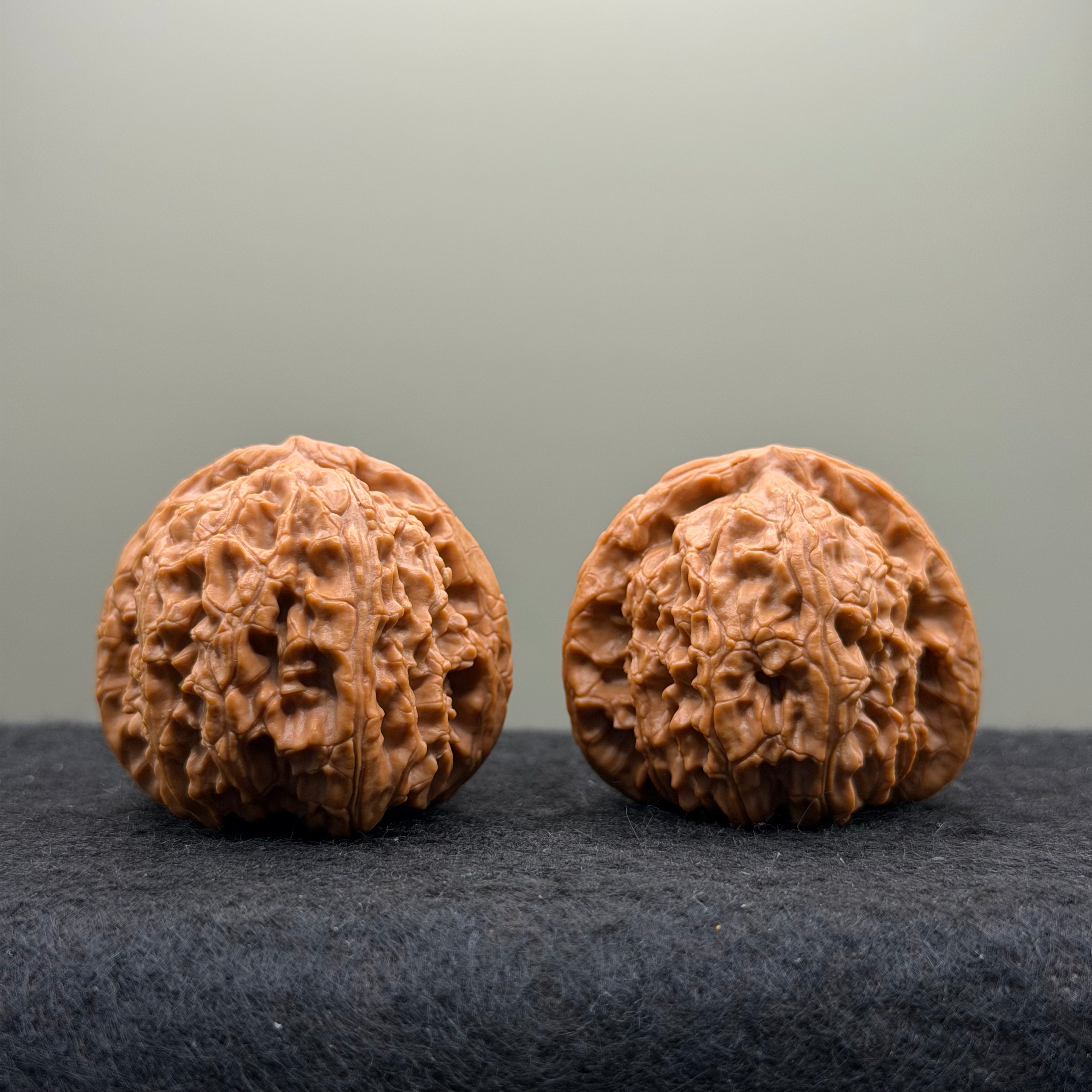 White Lion Head Wenwan Walnut