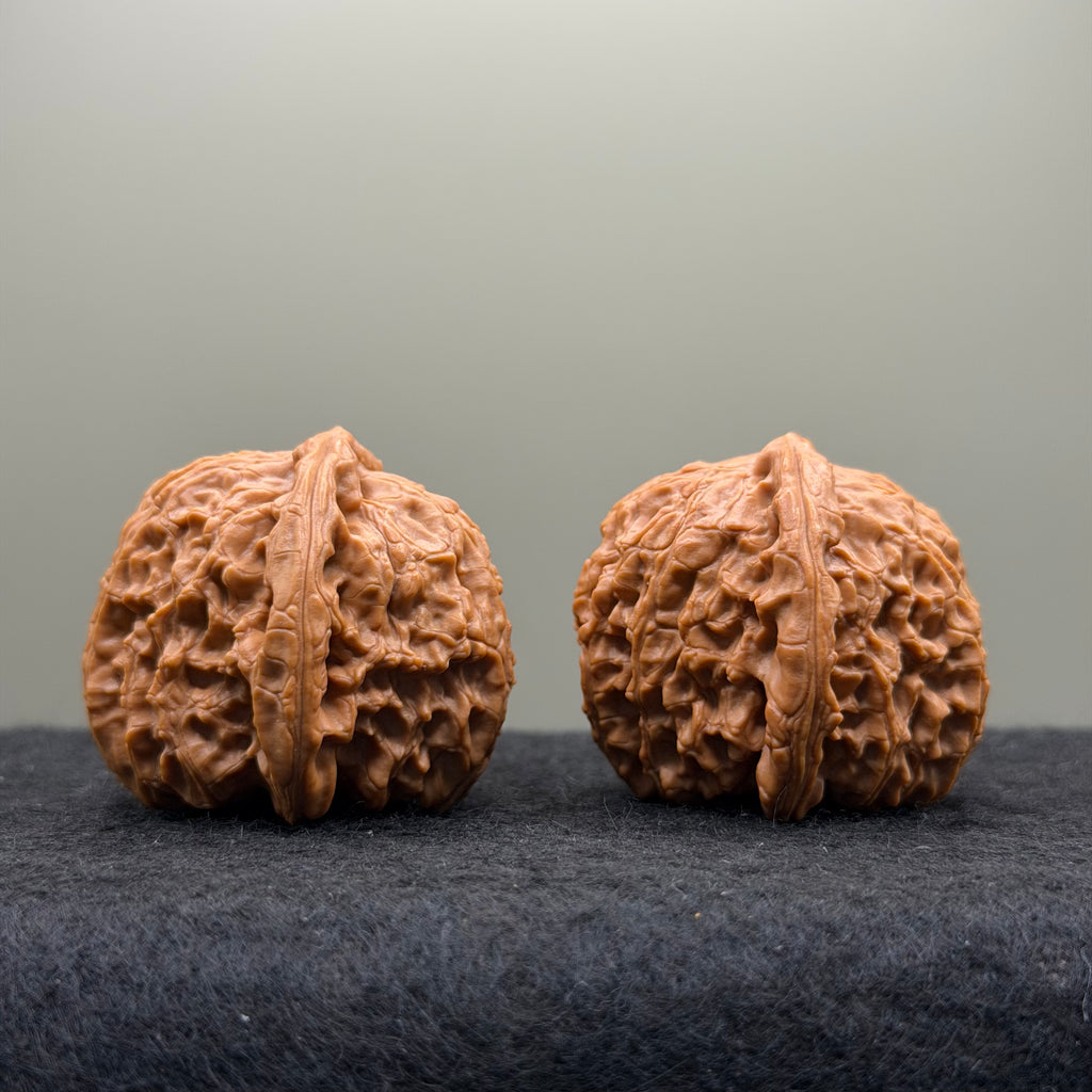 White Lion Head Wenwan Walnut