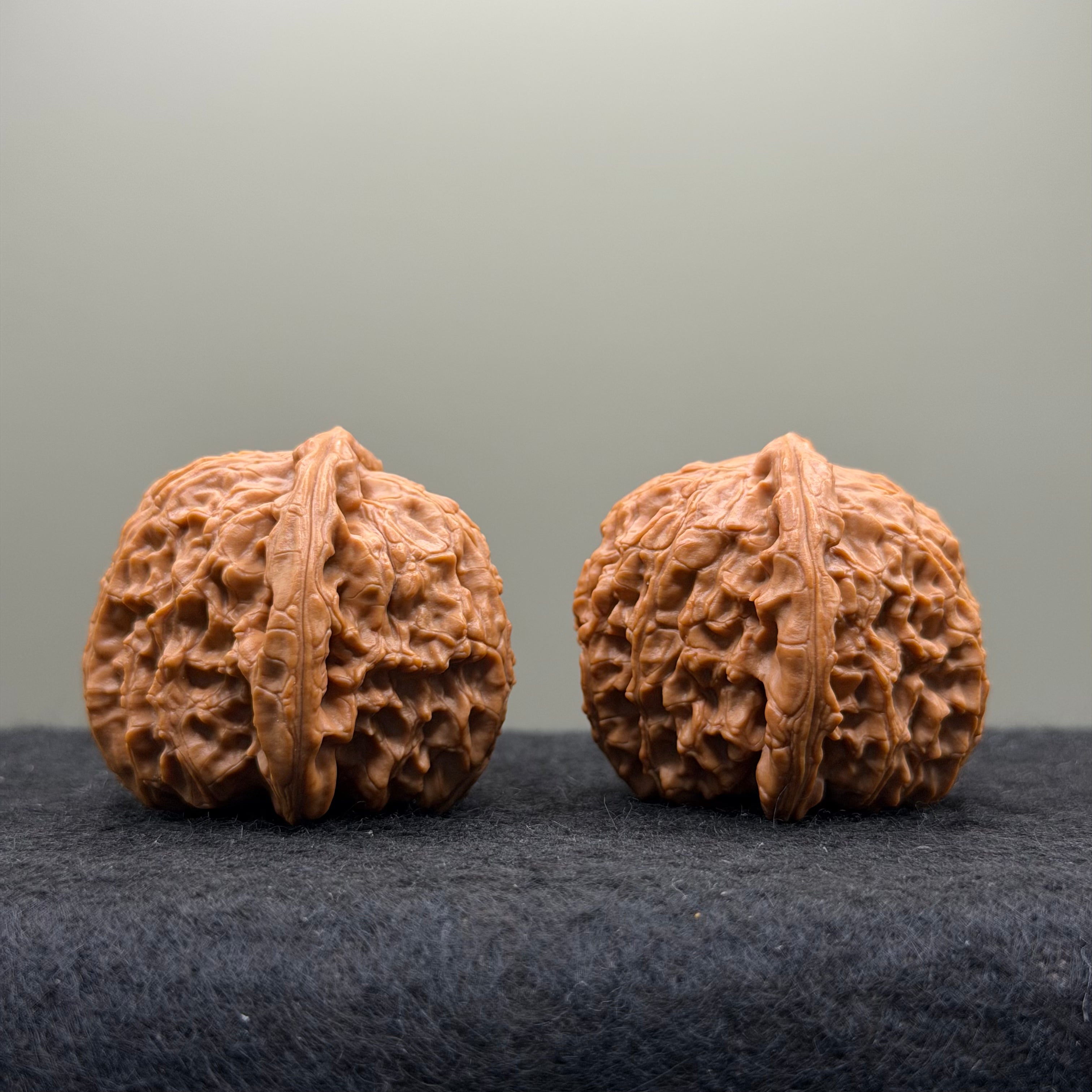White Lion Head Wenwan Walnut