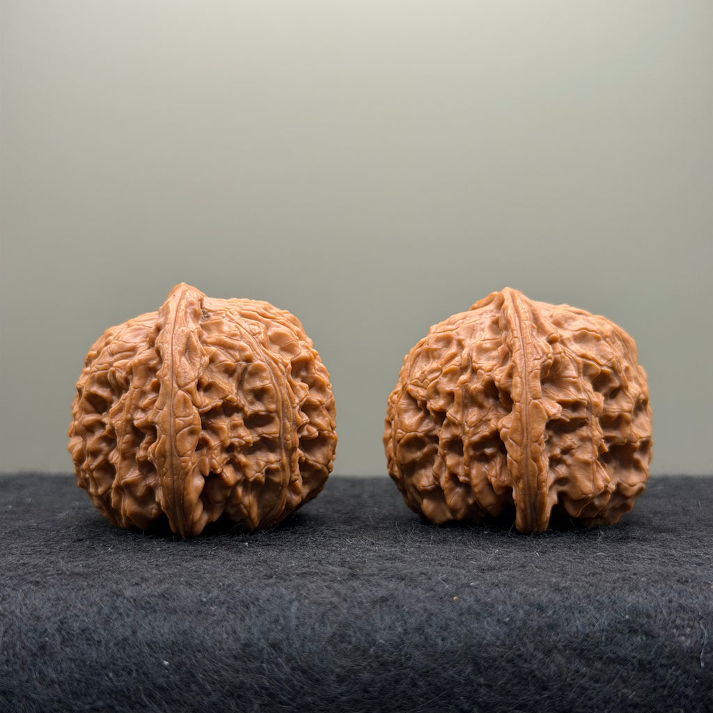White Lion Head Wenwan Walnut