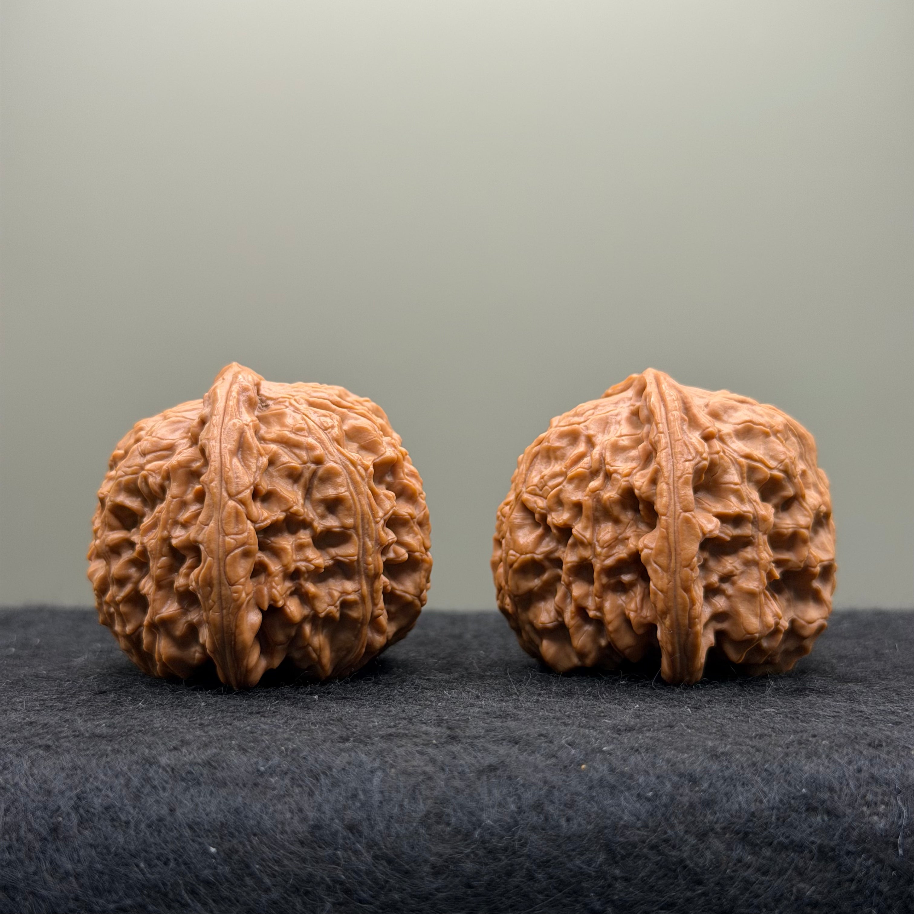 White Lion Head Wenwan Walnut