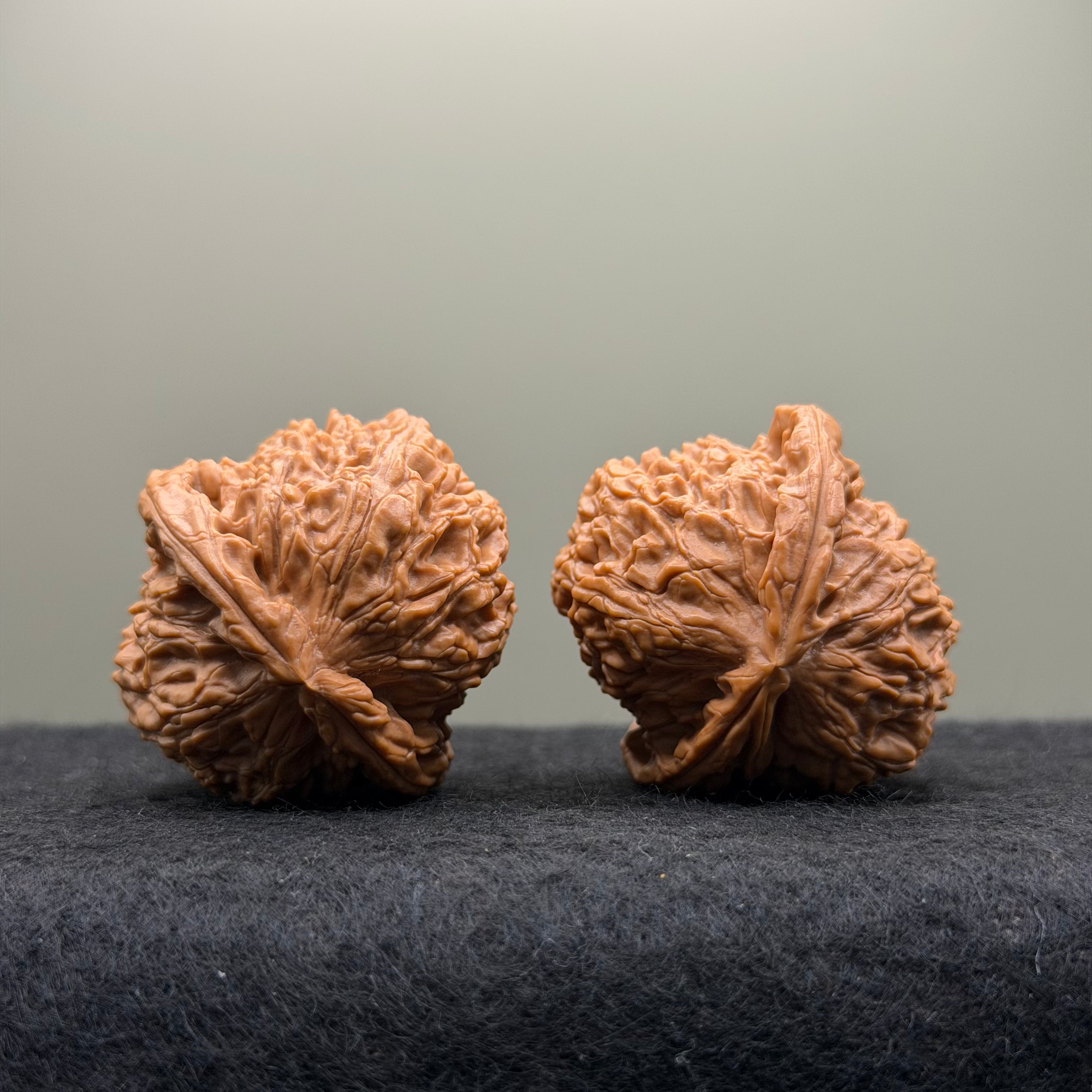 White Lion Head Wenwan Walnut