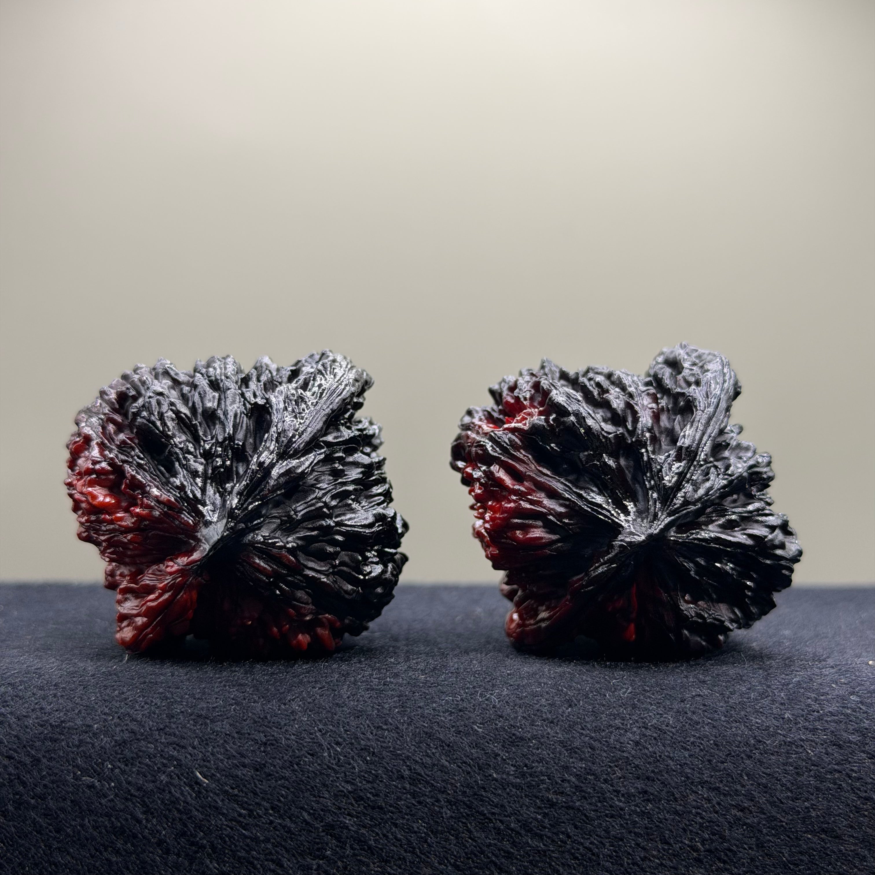 Ghost Rider · Four Towers Ground Buried Wenwan Walnut · 42mm · Select Ritual