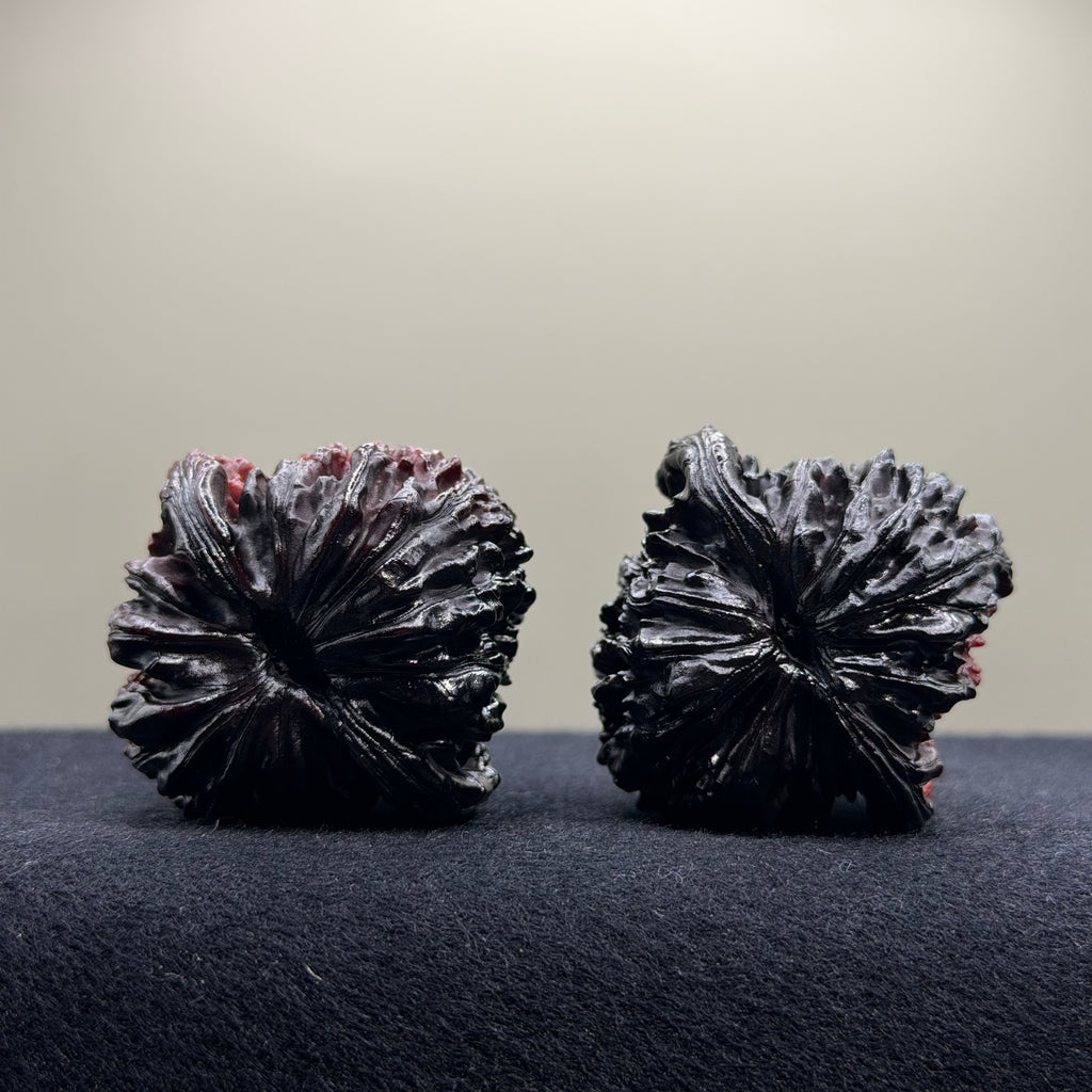 Ghost Rider · Four Towers Ground Buried Wenwan Walnut · 42mm · Select Ritual