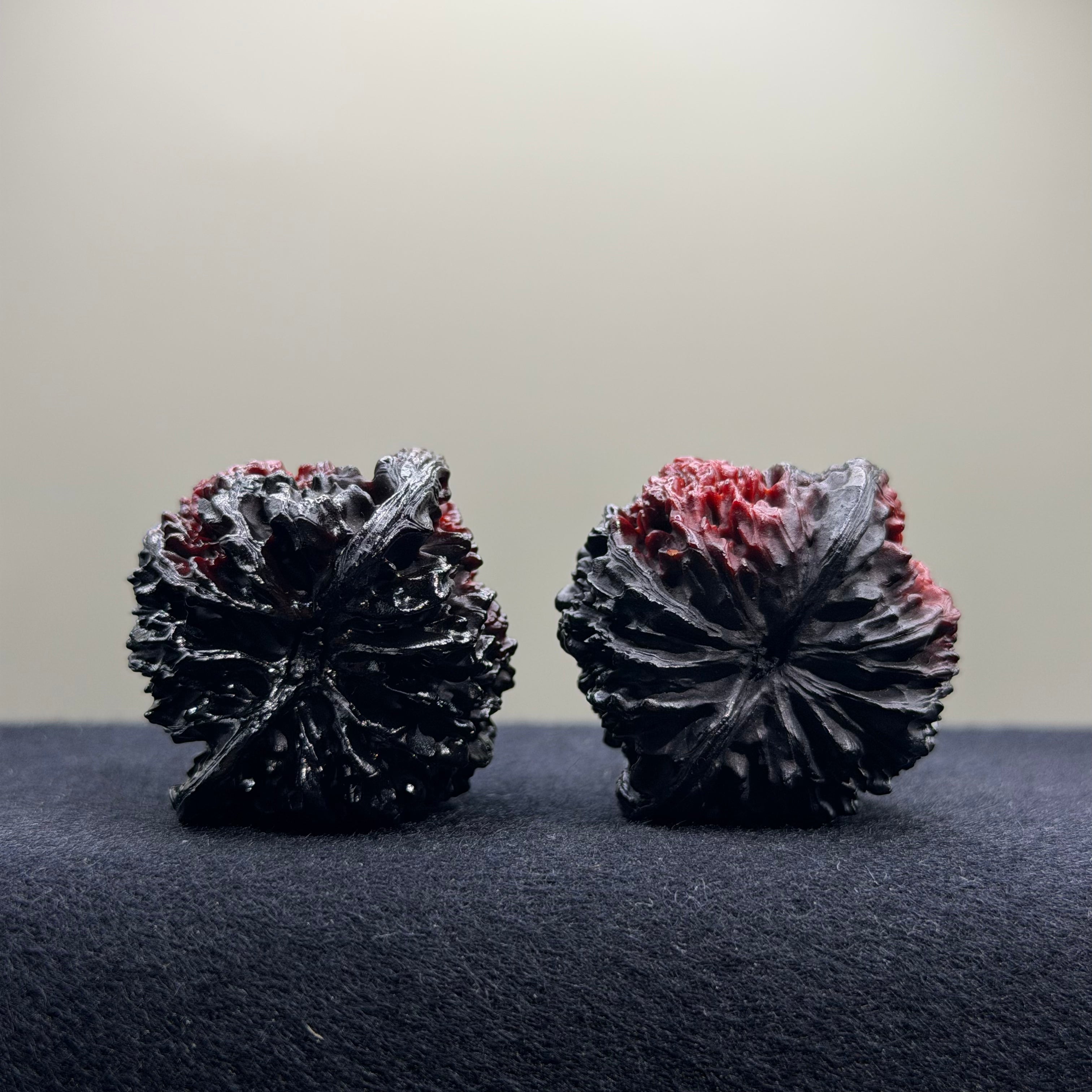 Ghost Rider · Official Hat Ground Buried Wenwan Walnut · 38mm · Select Ritual