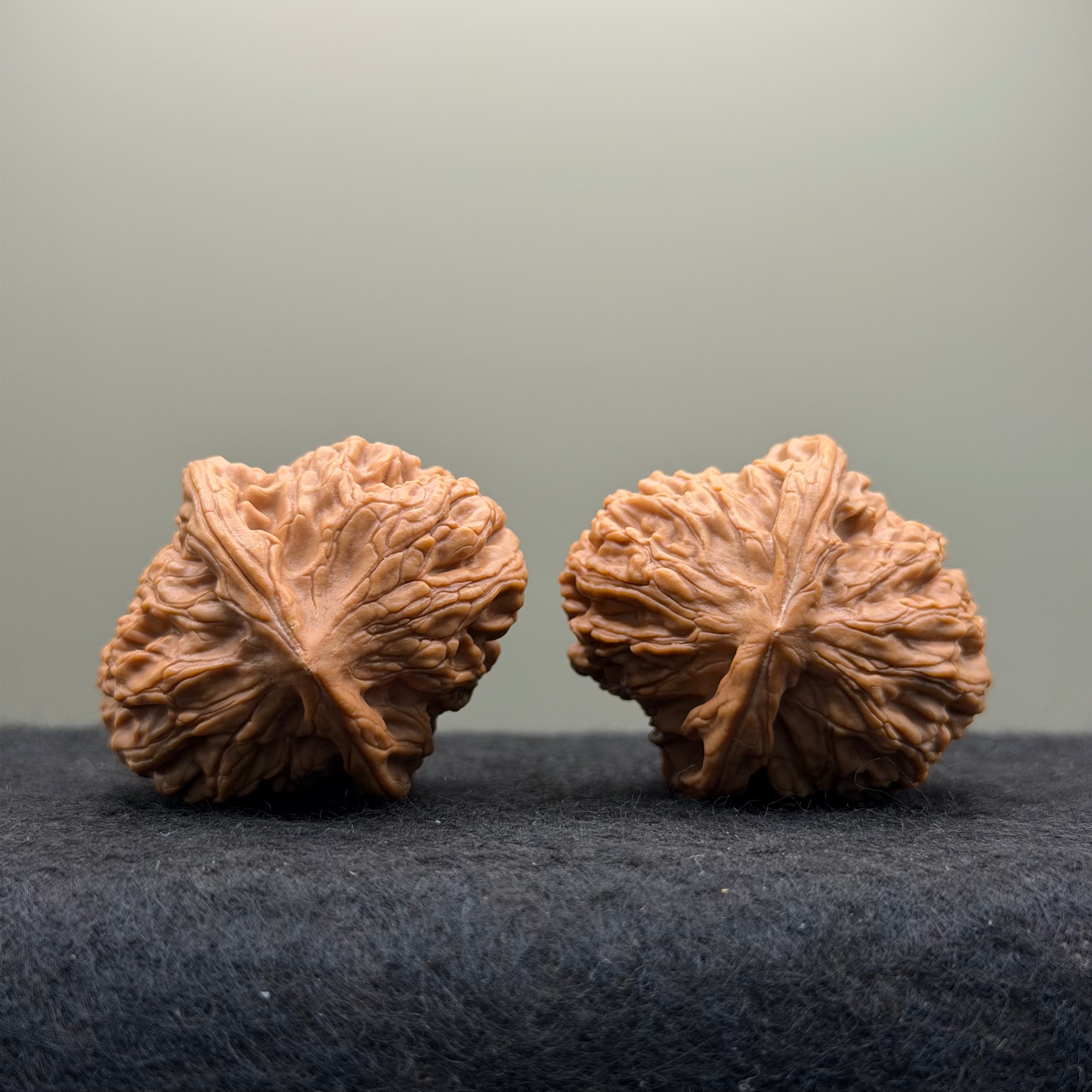 Jade Pillow Lion Head Wenwan Walnut