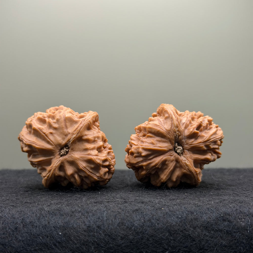 Jade Pillow Lion Head Wenwan Walnut