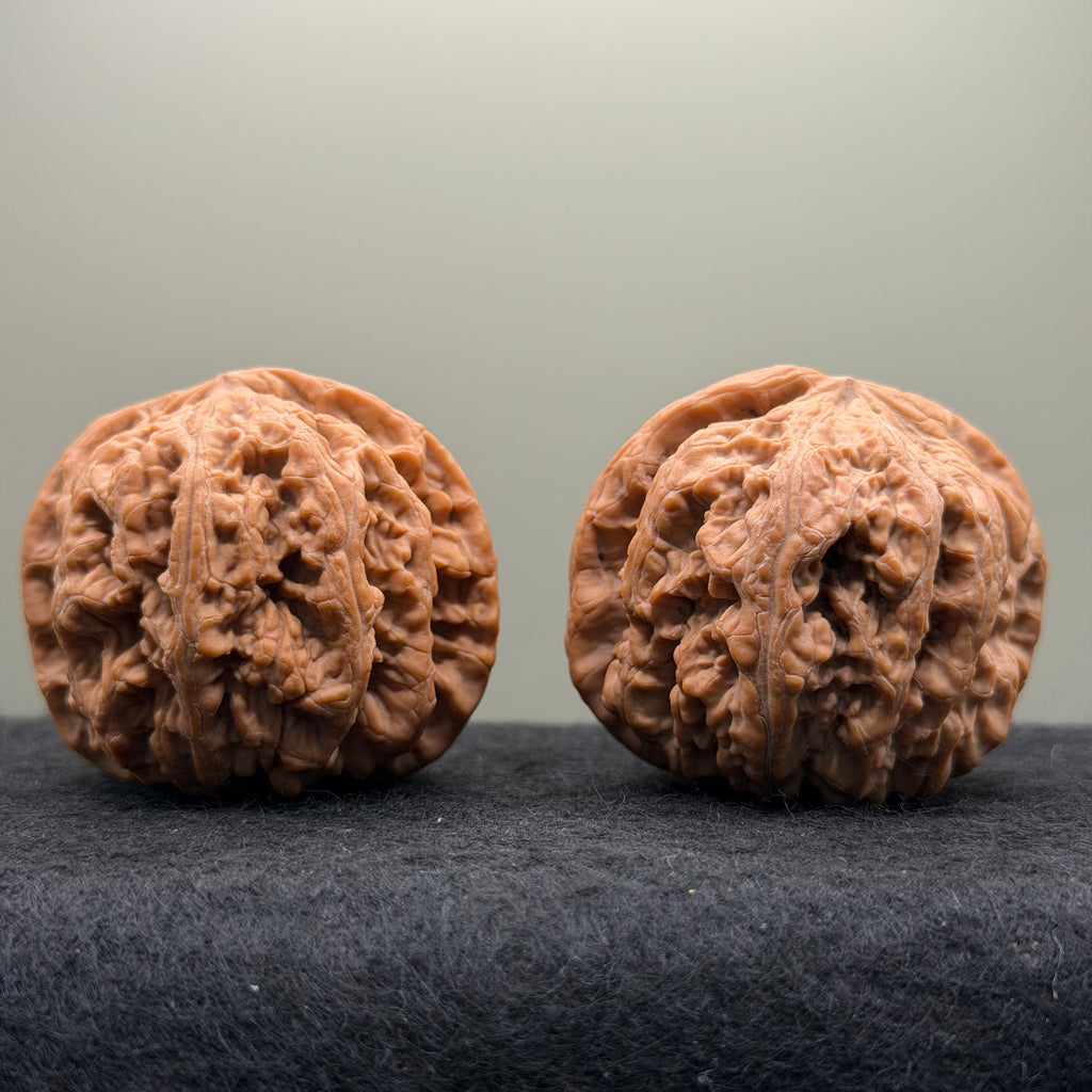 Thick Ribs Lion Head Wenwan Walnut