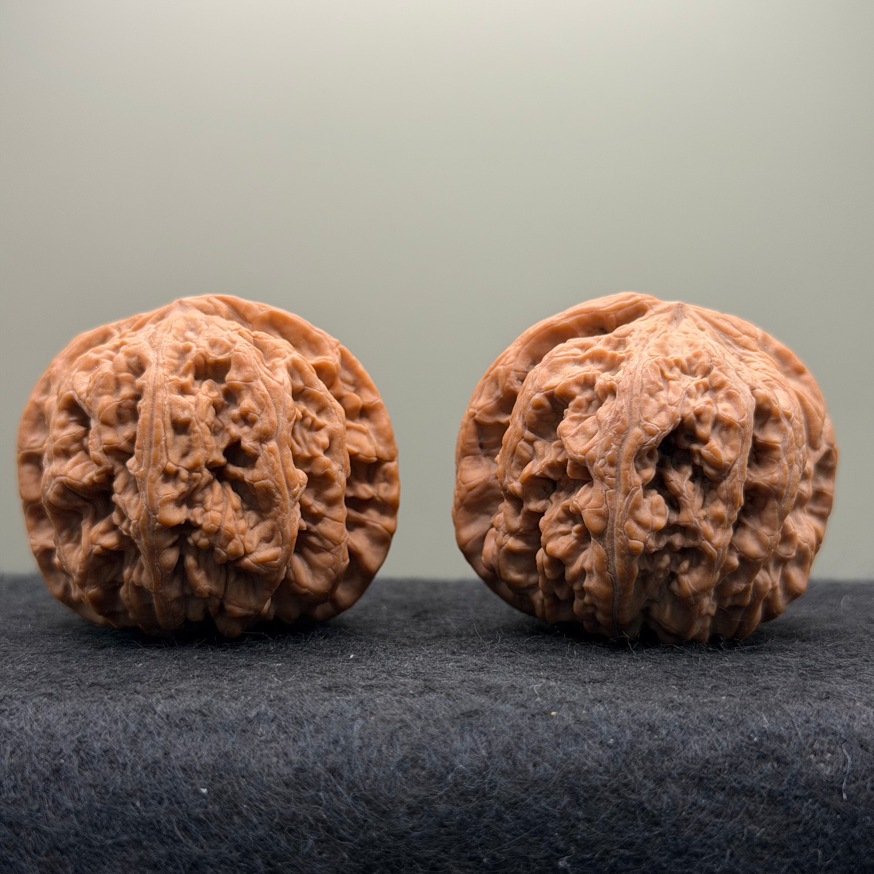 Thick Ribs Lion Head Wenwan Walnut
