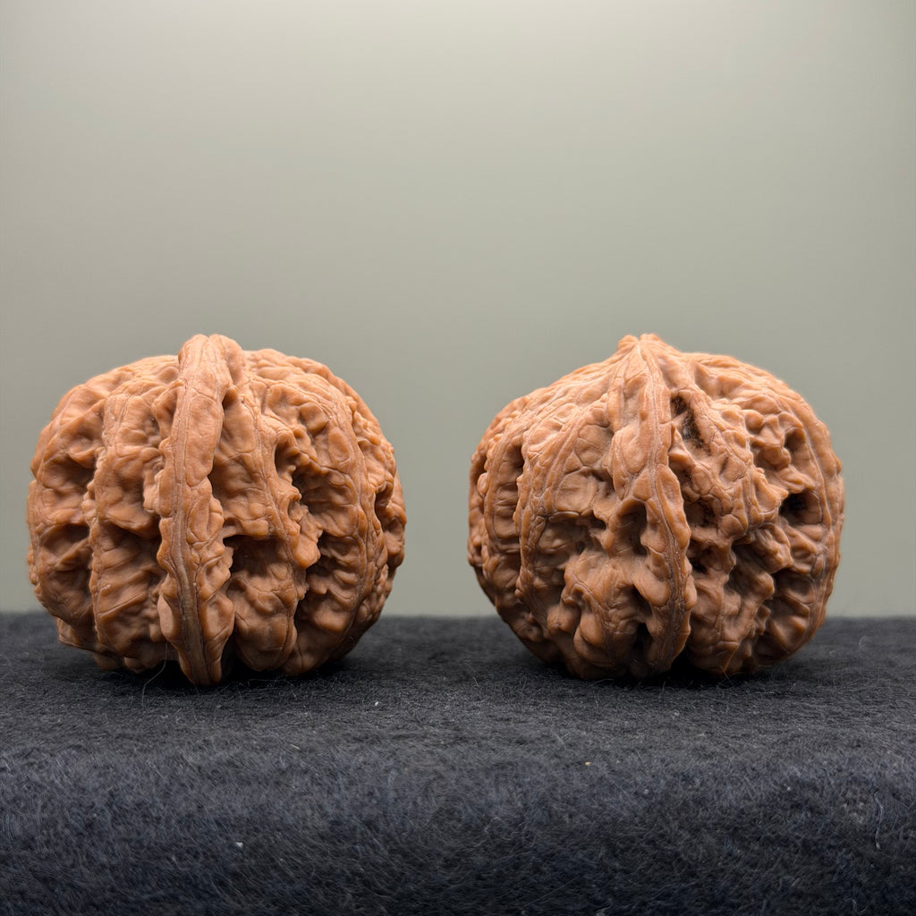 Thick Ribs Lion Head Wenwan Walnut